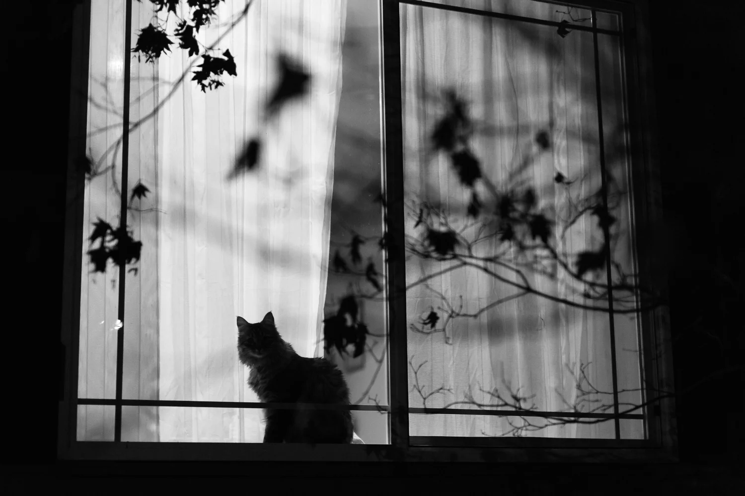 2015-best-of-harth-photography-119.jpg
