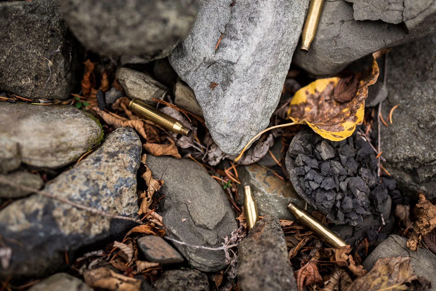 2015-best-of-harth-photography-5-2.jpg