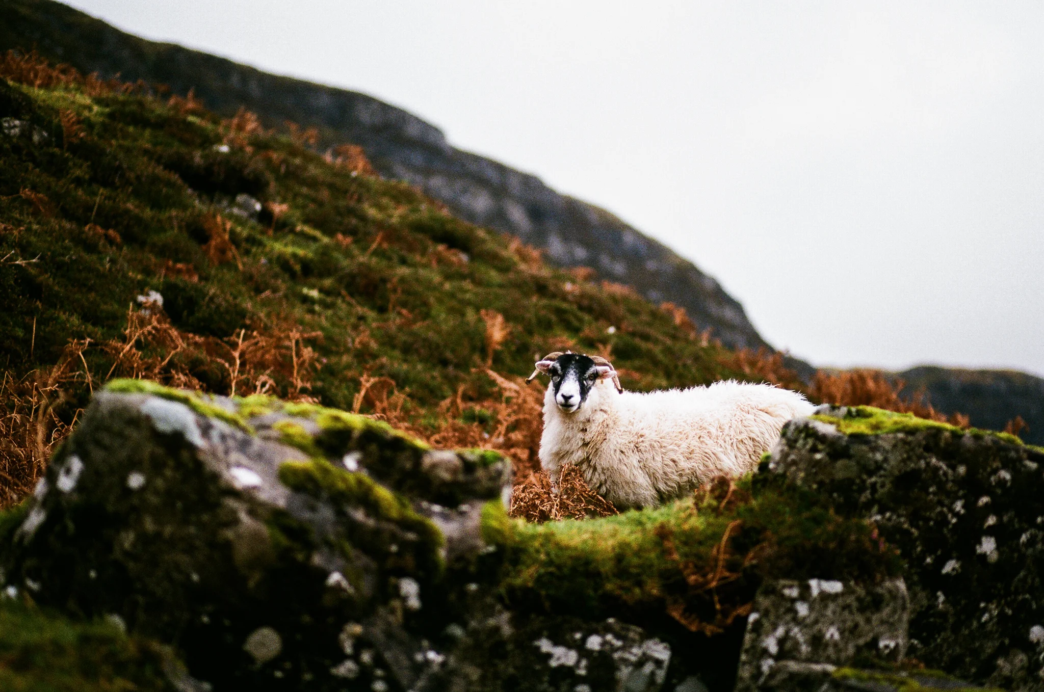 scotland-isle of skye-012.jpg