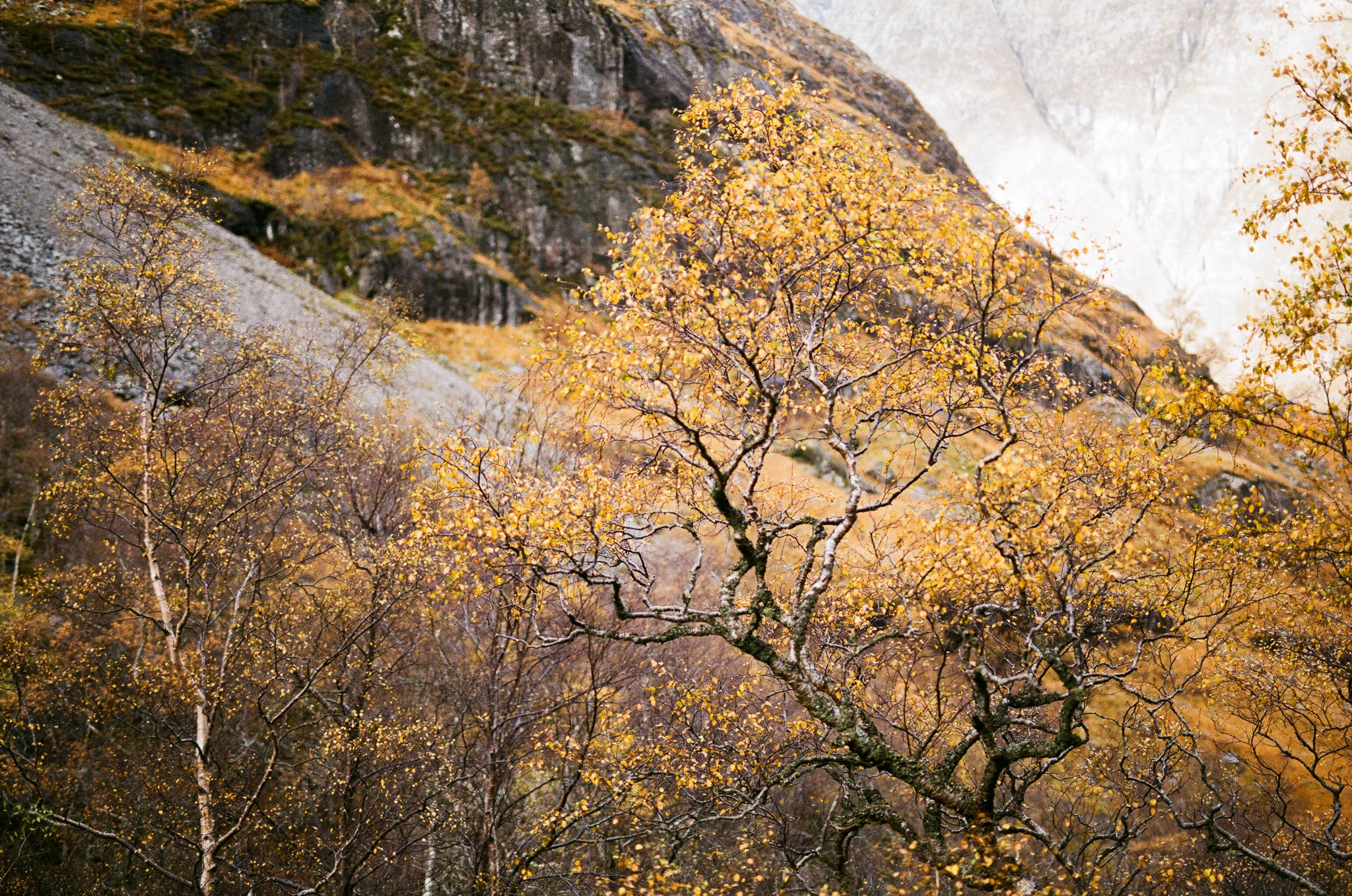scotland-isle of skye-038.jpg