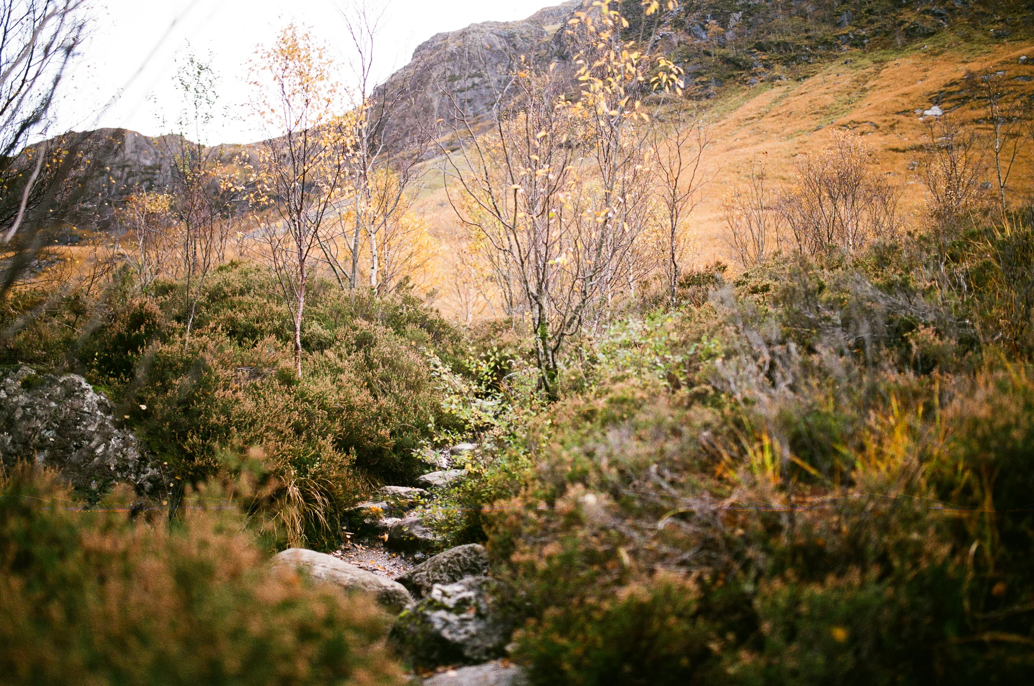 scotland-isle of skye-048.jpg