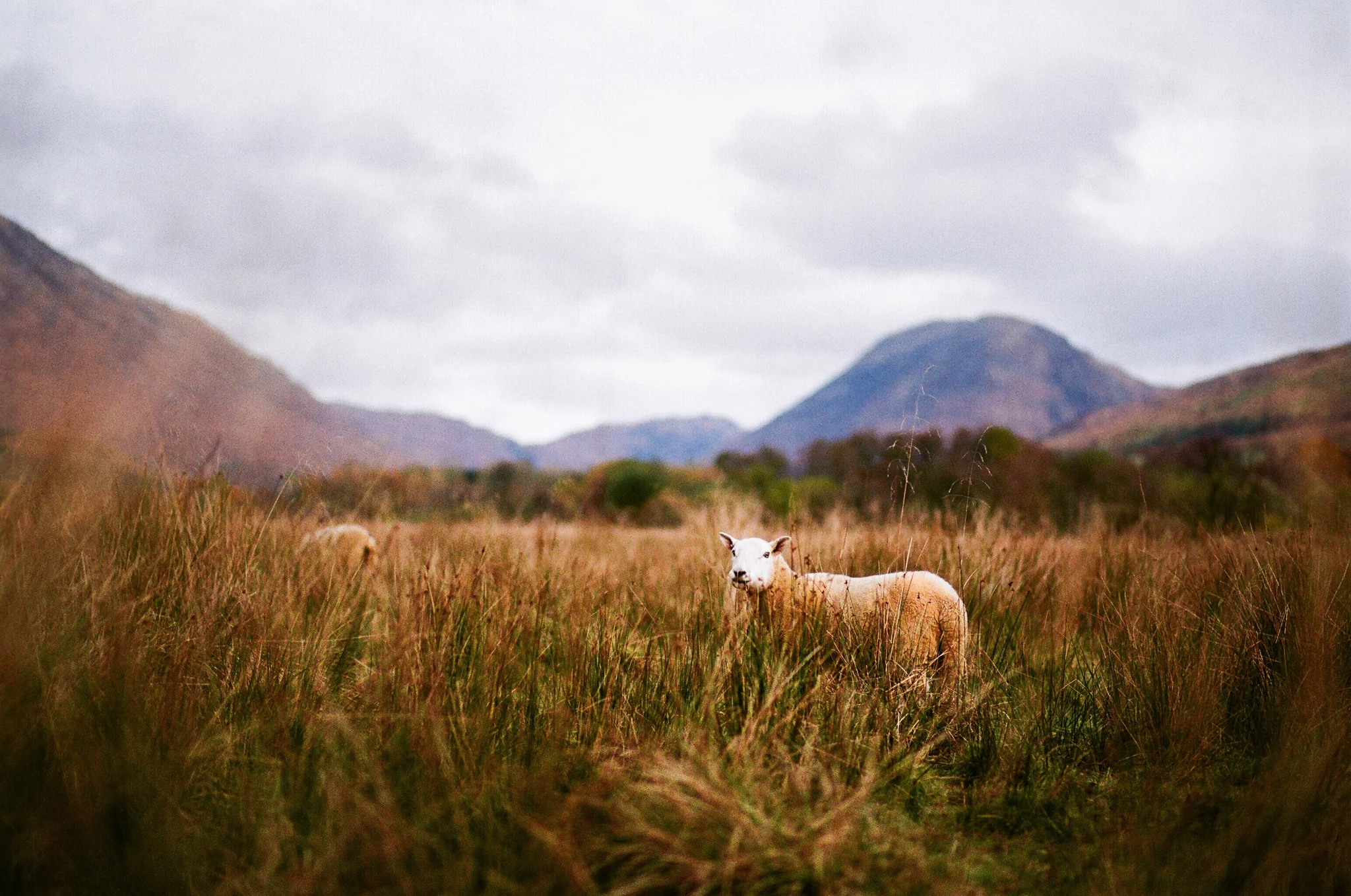 scotland-isle of skye-060.jpg