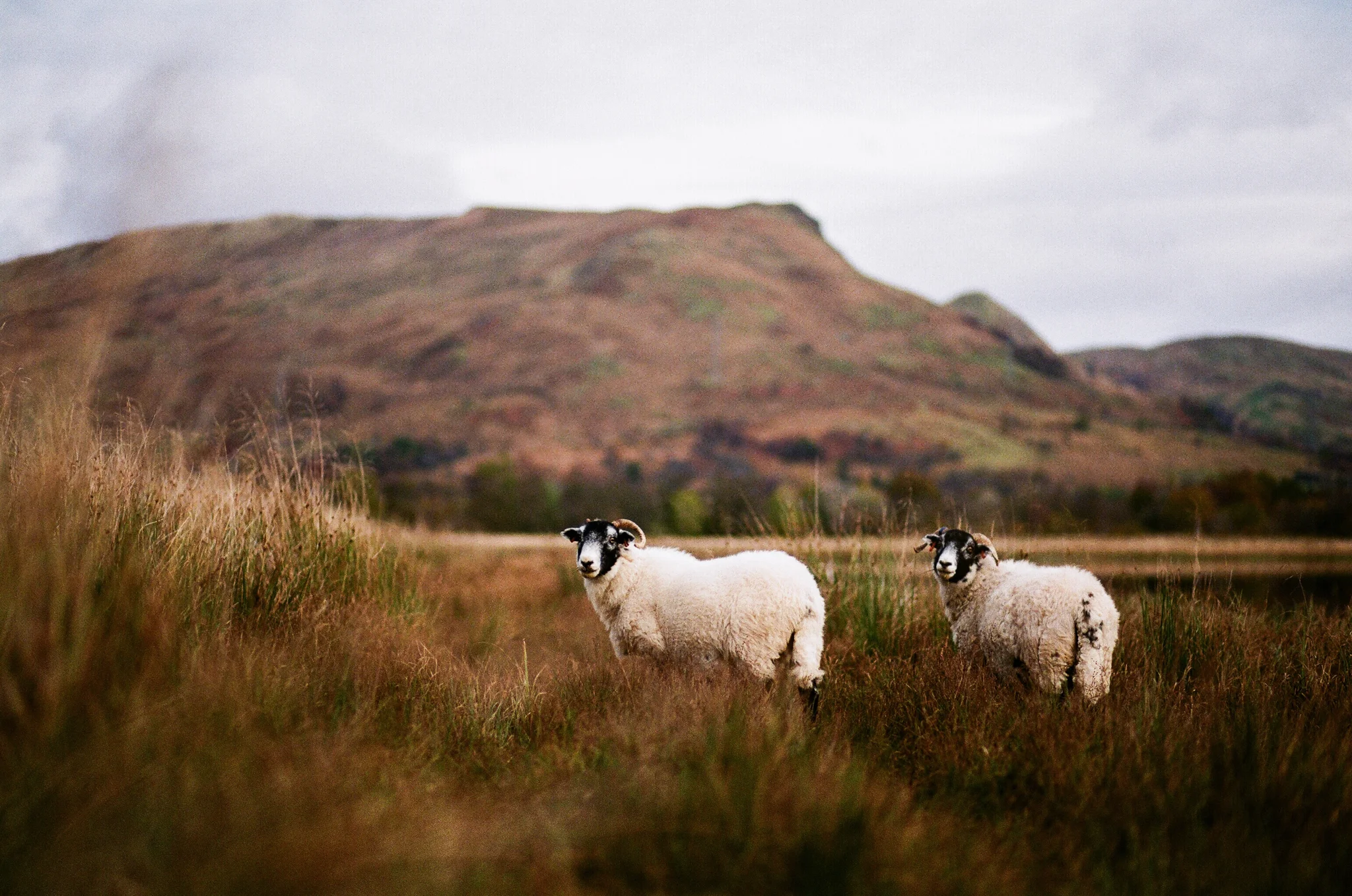 scotland-isle of skye-061.jpg