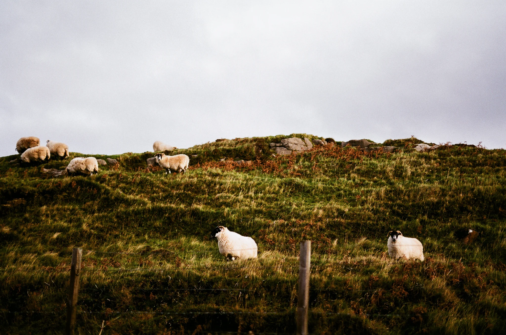 scotland-isle of skye-081.jpg