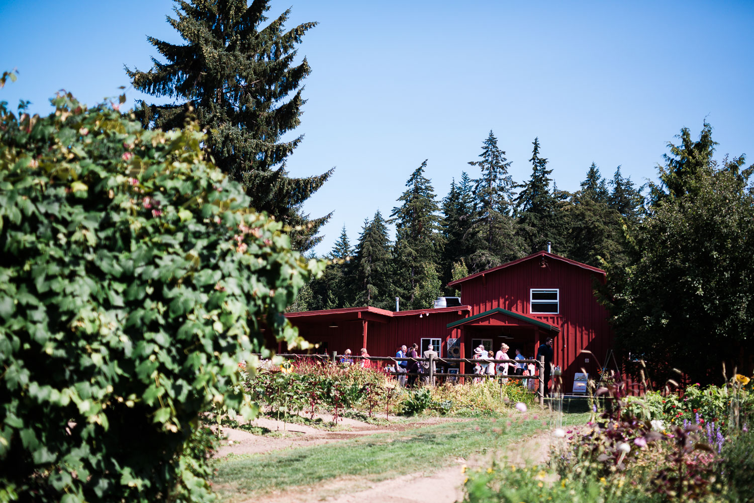 farm-kitchen-wedding-harth-photography-0246.jpg