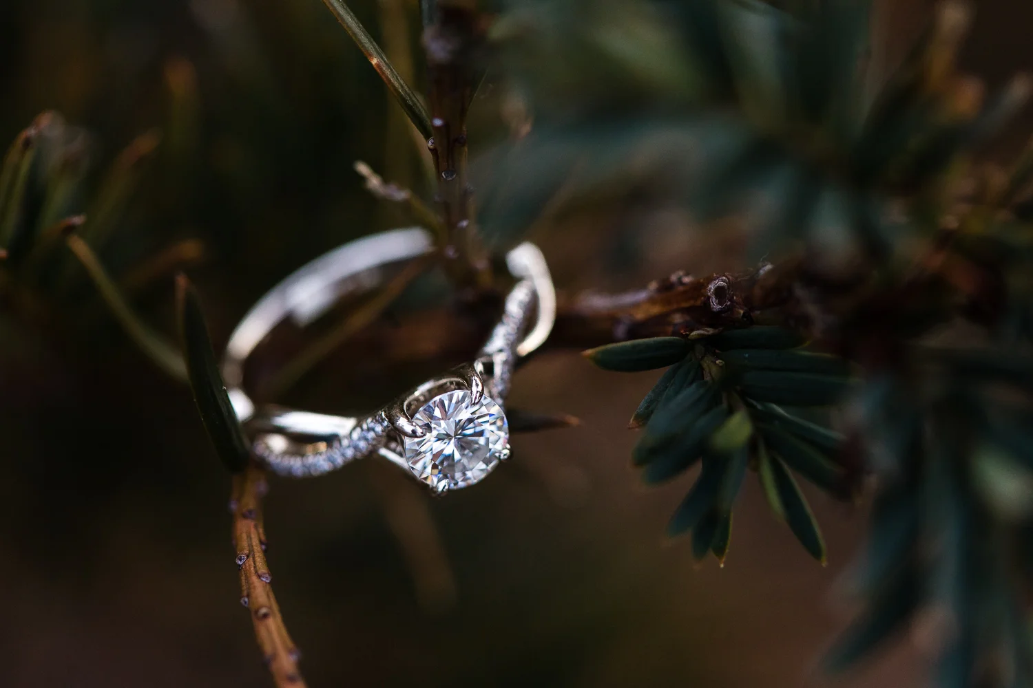alki-beach-seattle-engagement-photographer-68.jpg