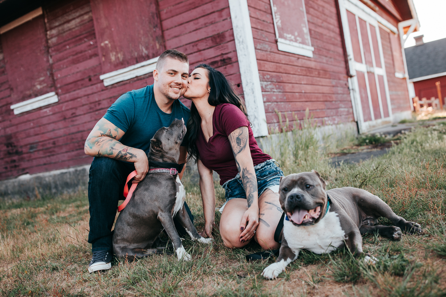 Engagement photos with pitbulls