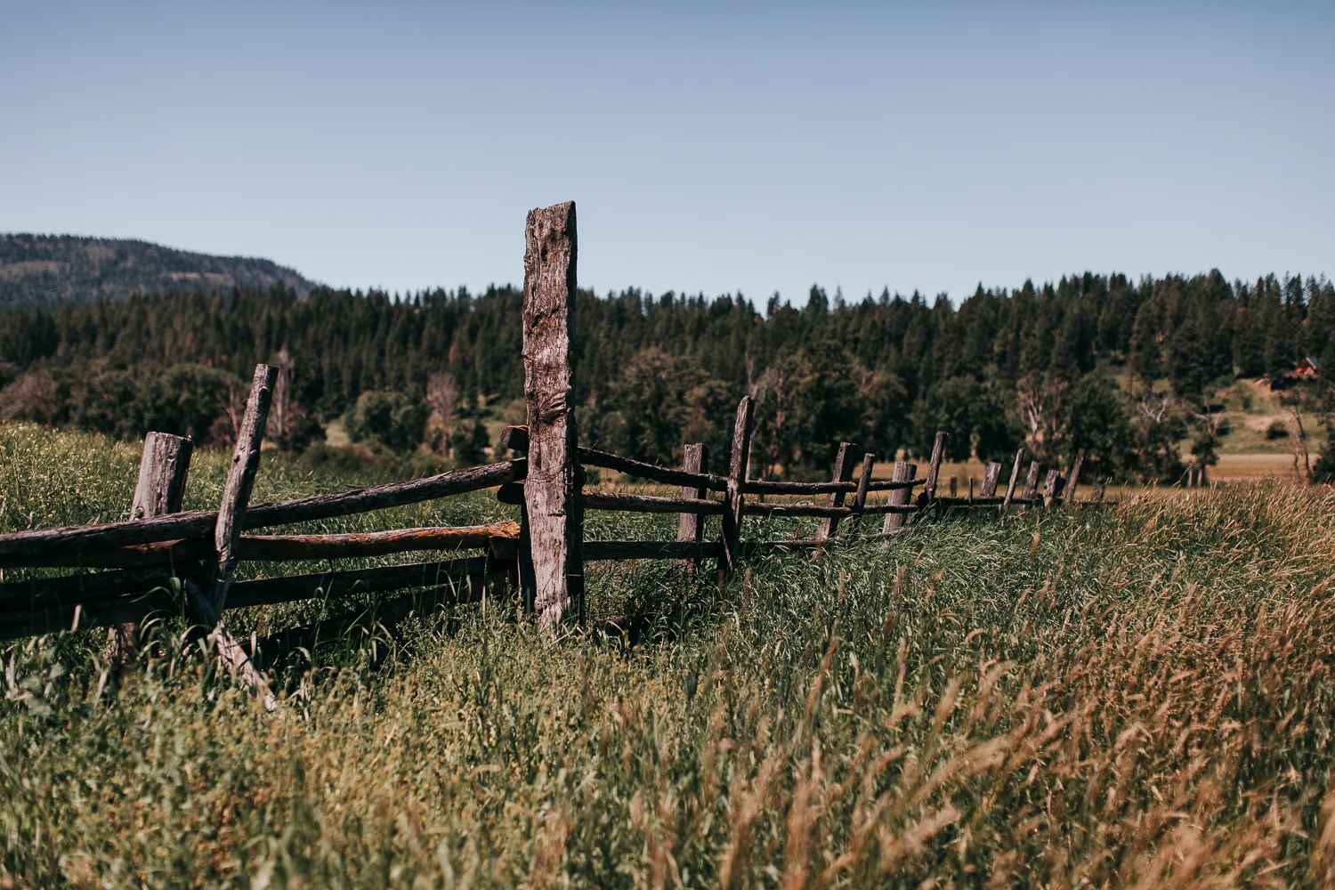 cle-elum-wedding-photographer-cattle-barn-0036.jpg