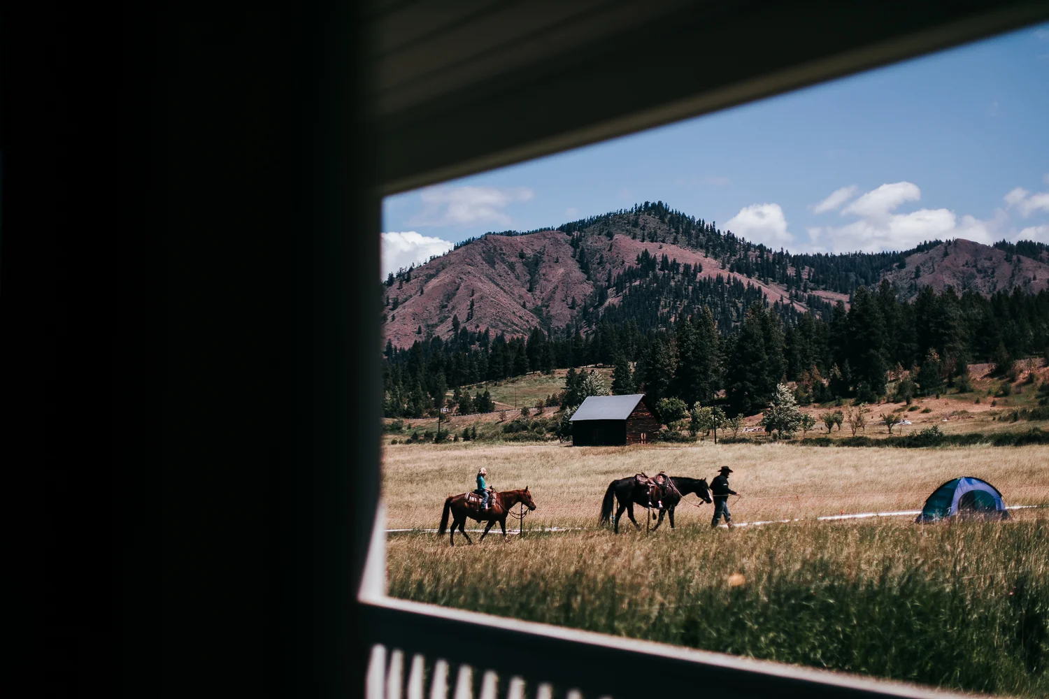 cle-elum-wedding-photographer-cattle-barn-0119.jpg