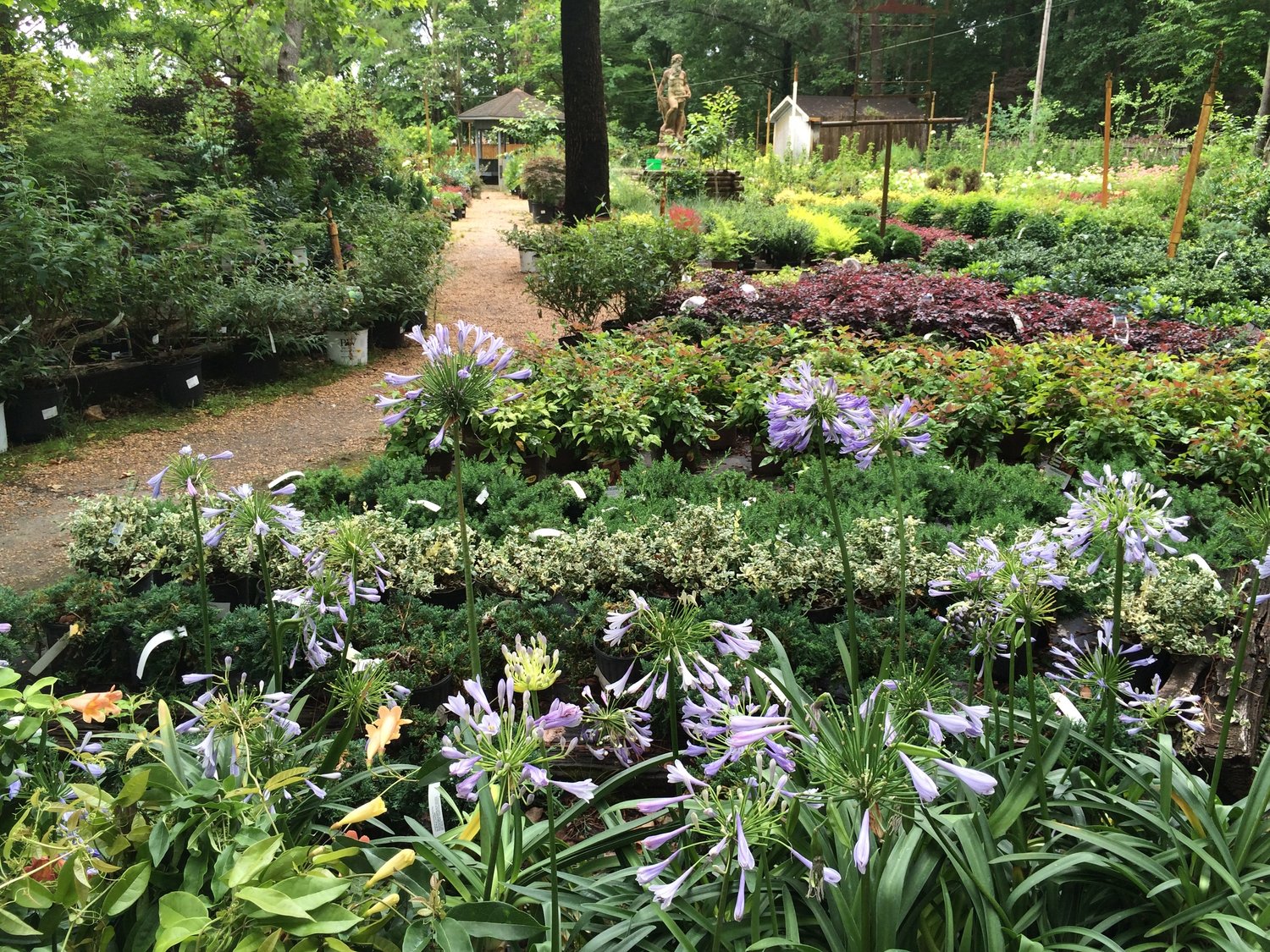 Plant and See Nursery