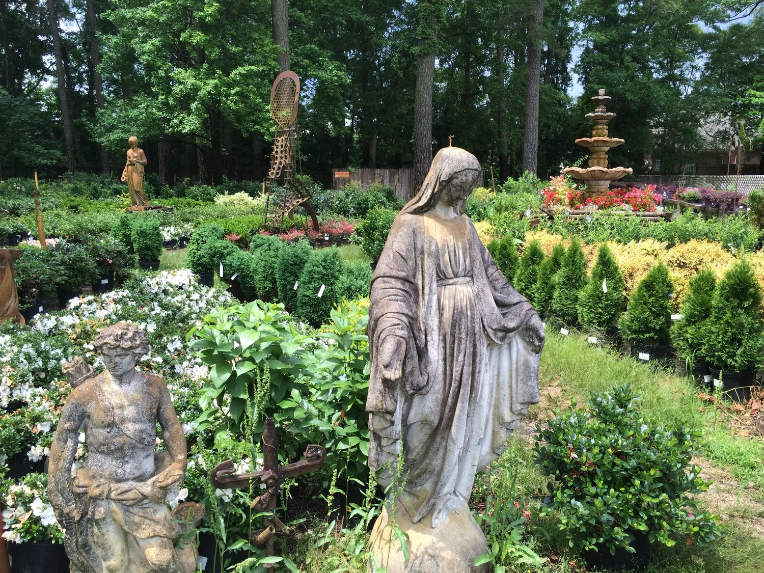 Plant And See Nursery plant-and-see-nursery