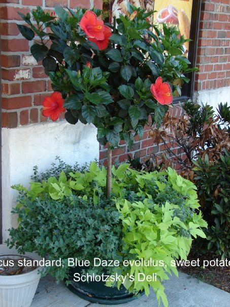 Designscapes30.jpg