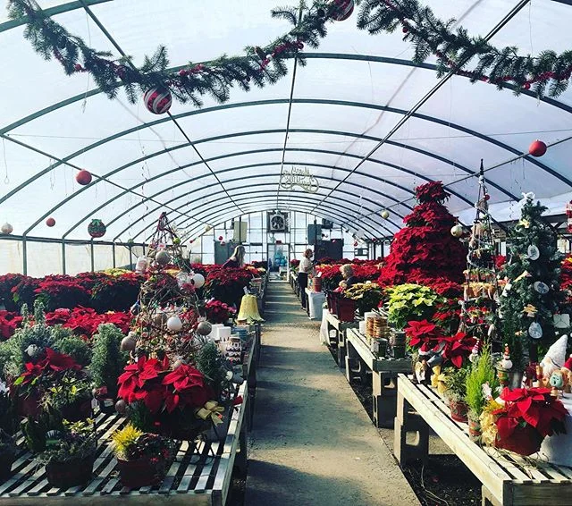 Sunshine Garden Center Greenville Nc Fasci Garden