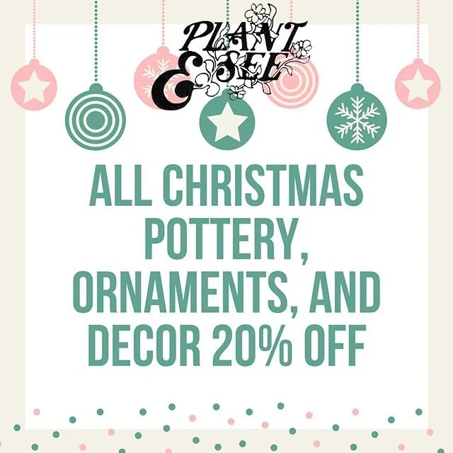 Plant And See Nursery plant-and-see-nursery