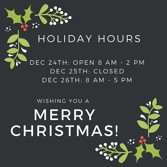 Plant And See Nursery plant-and-see-nursery