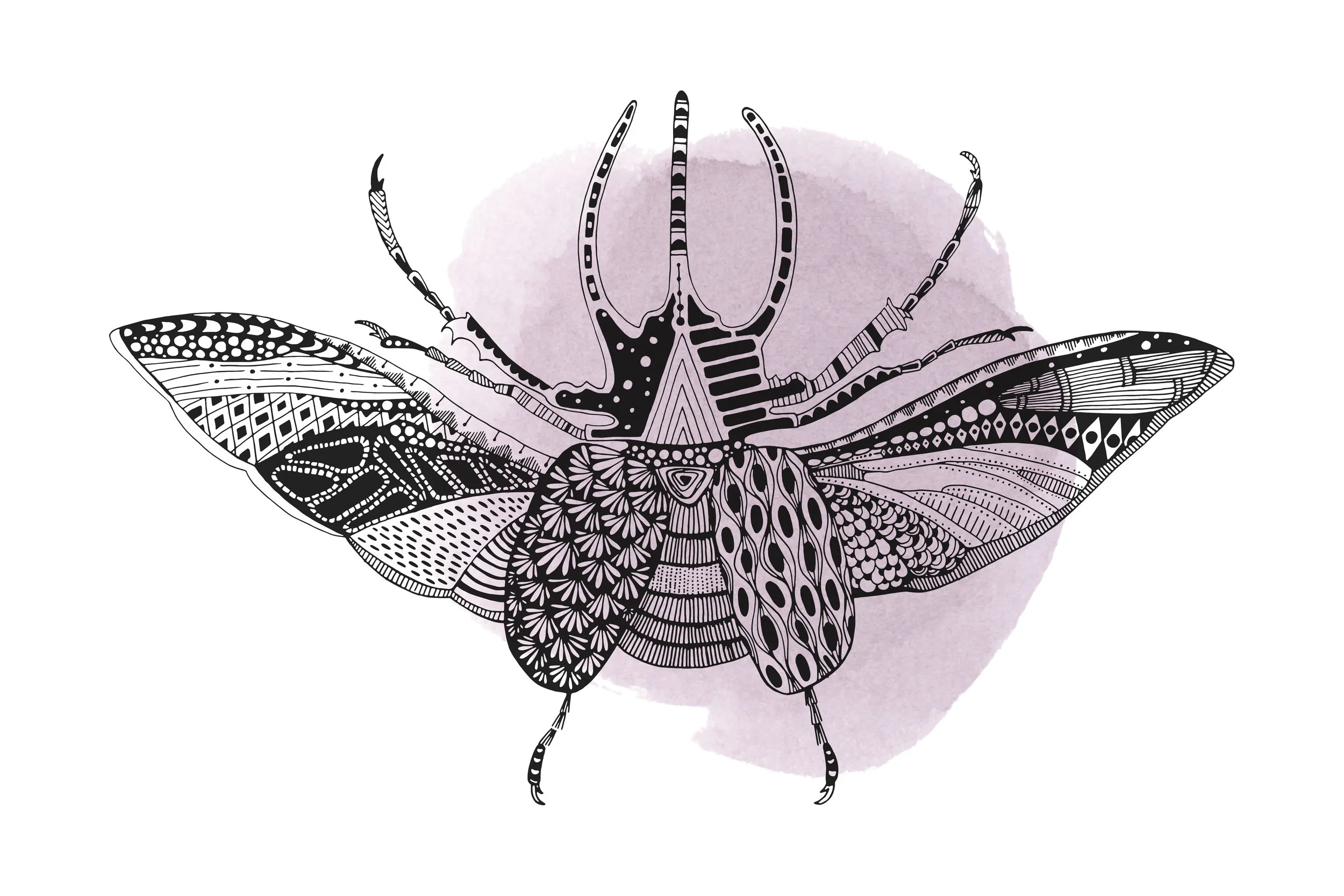 Flying Bug Poster quer.jpg