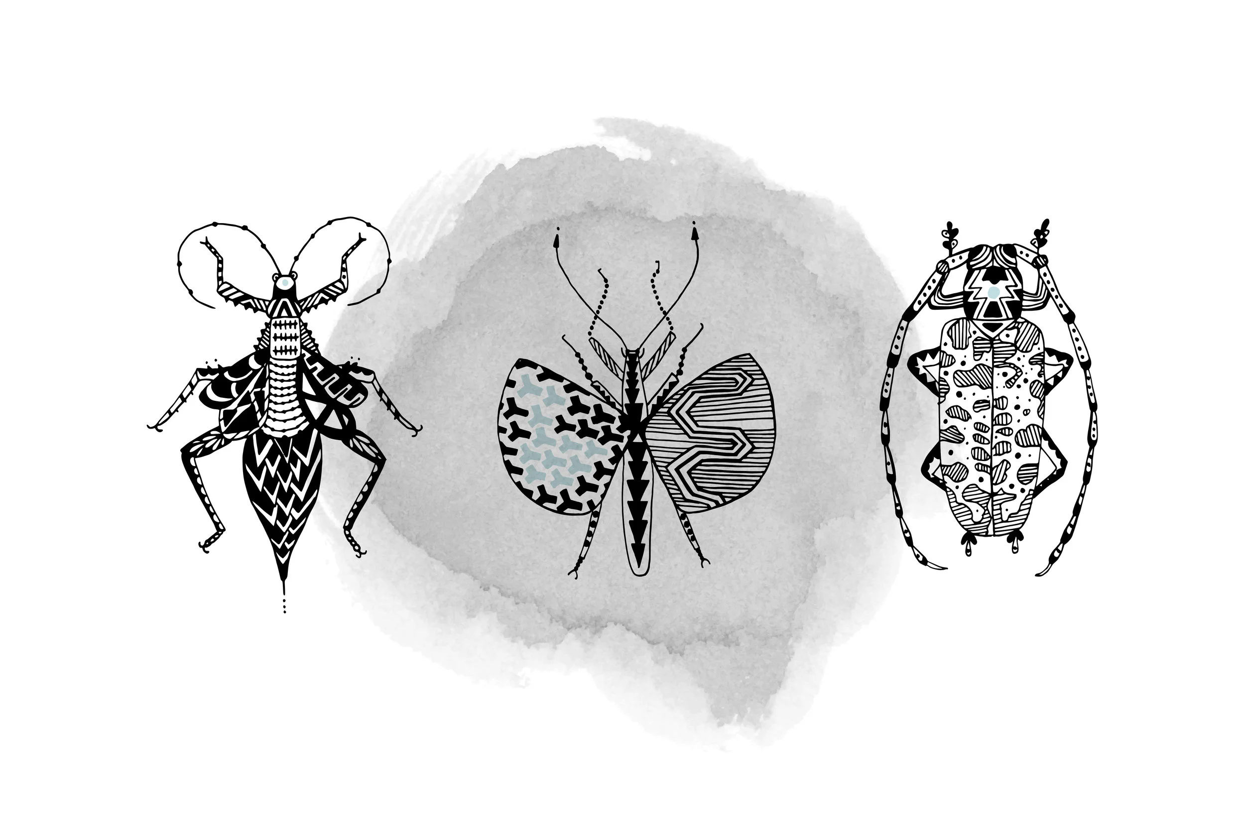 Just Beetles 3-2.jpg