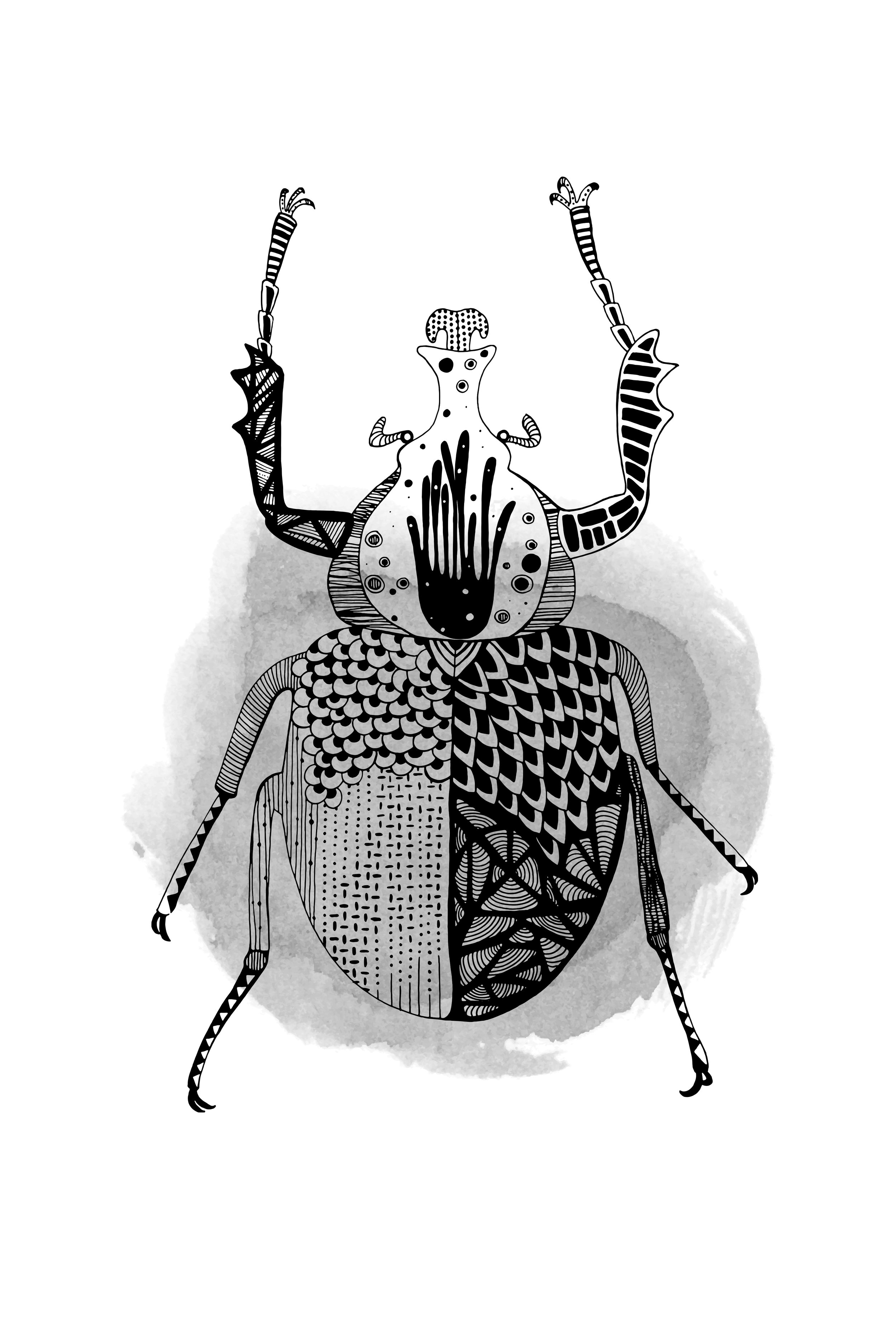 Black Beetle 2-3.jpg