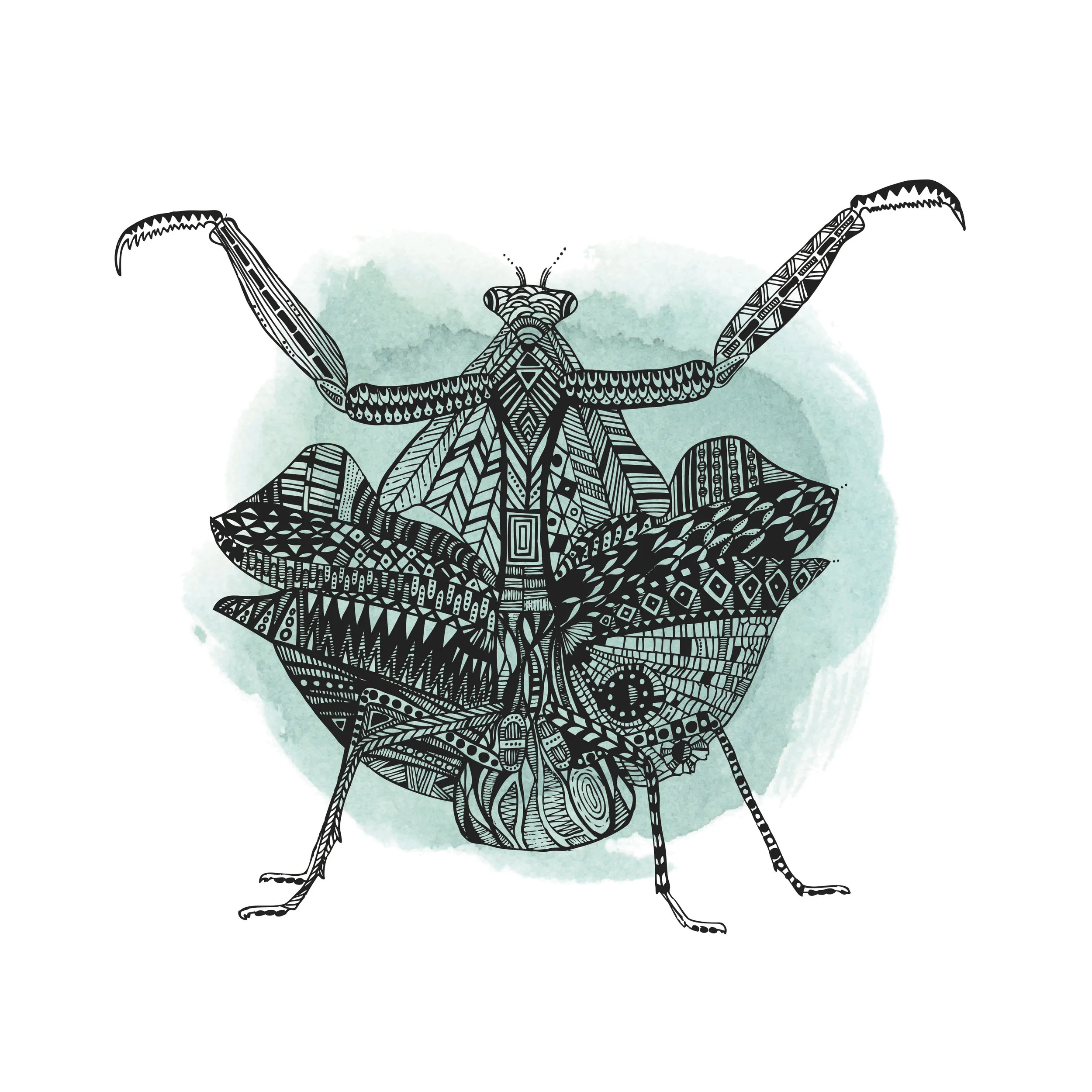 Praying Mantis 1-1.jpg