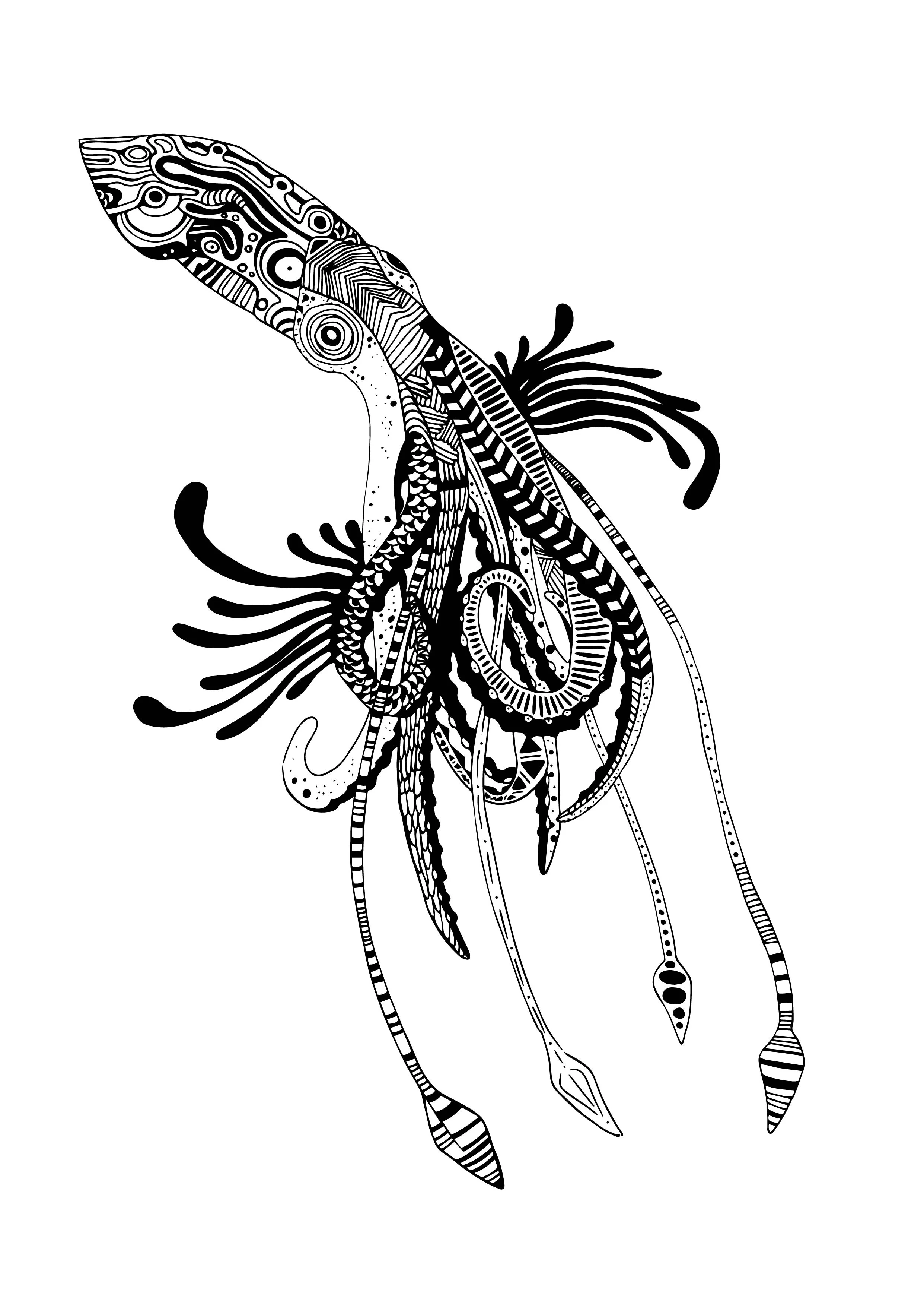 Squid-01.jpg
