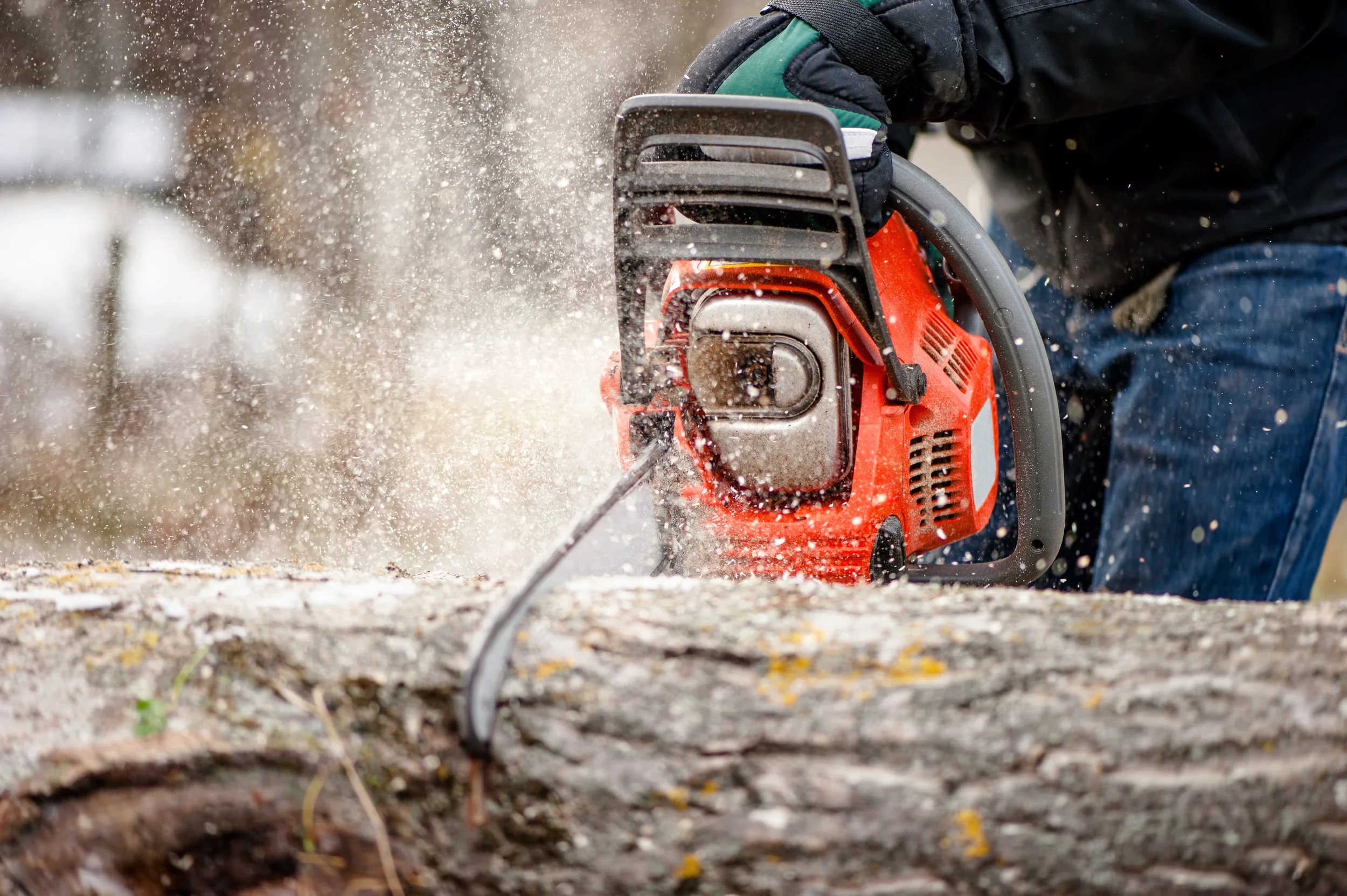 canstockphoto17704580.jpg