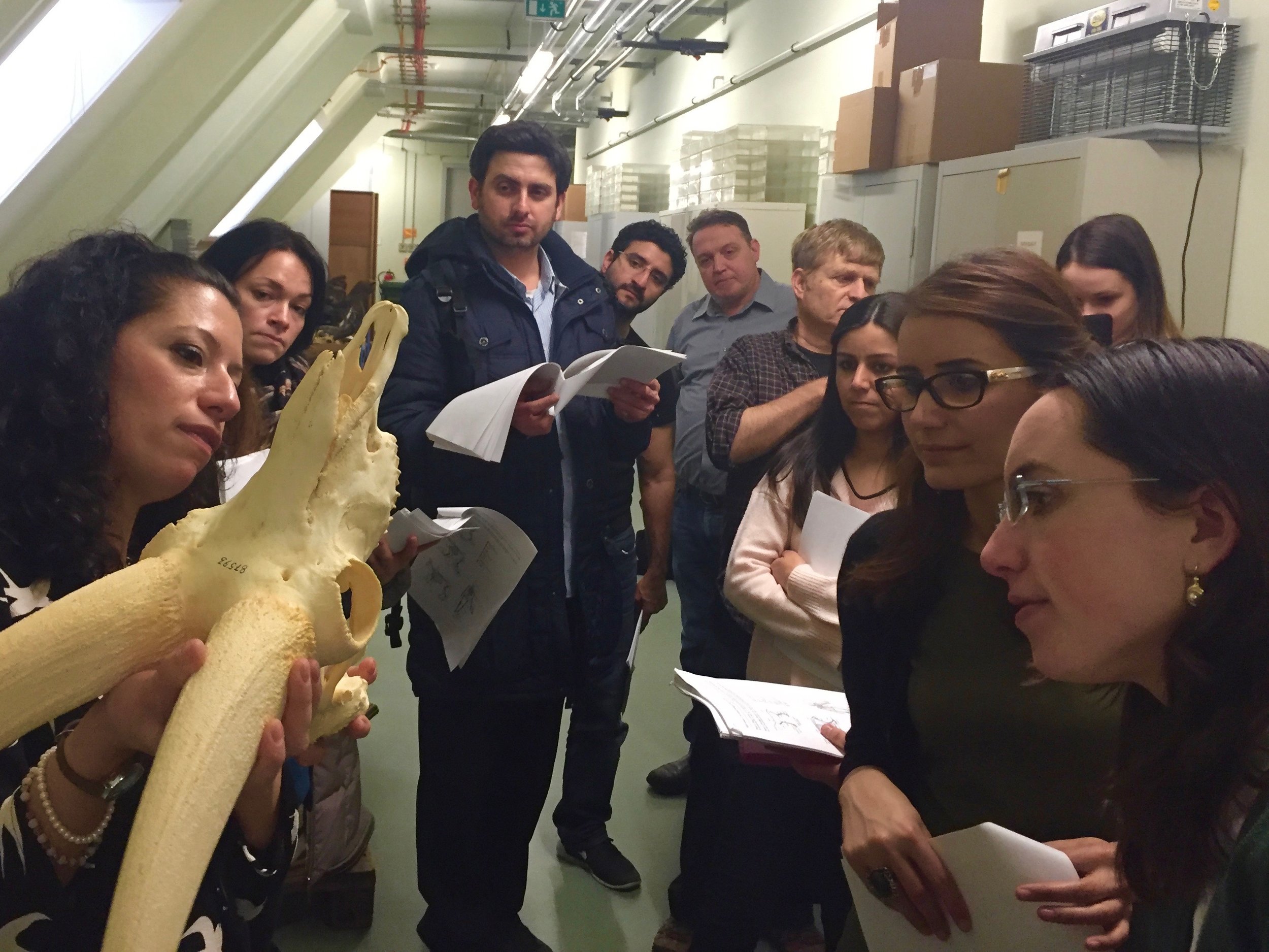 Prof. Corbino showing various animal remain specimens to the group for identification. The class examined specimens from the collection of the Alexander Koenig Zoological Museum in Bonn.
