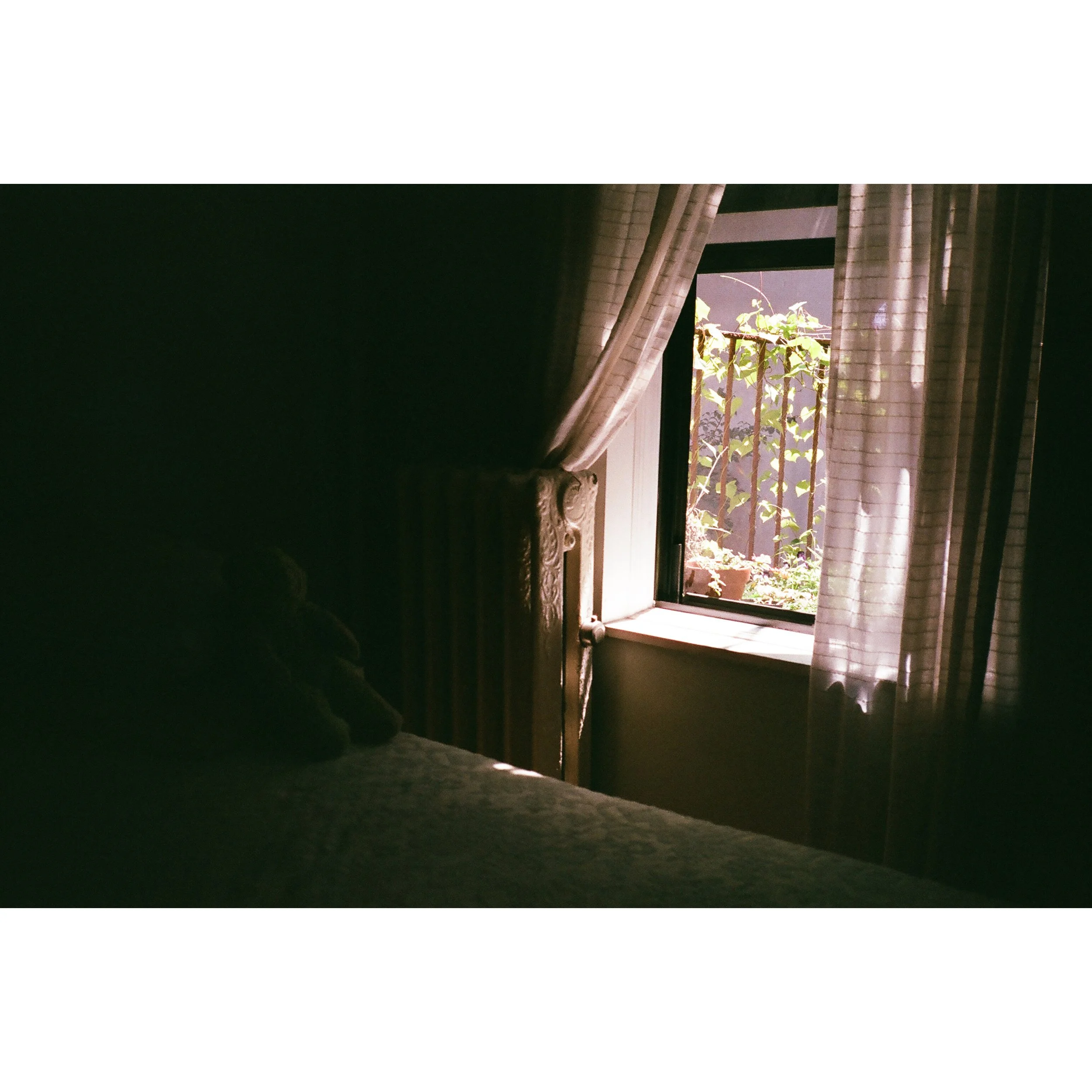 Whitagram-Image 25.JPG