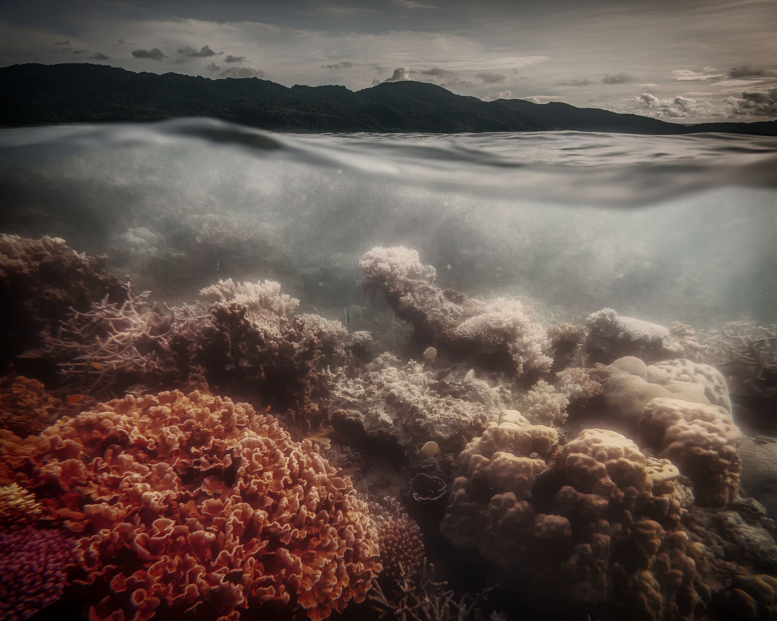 underwater evening