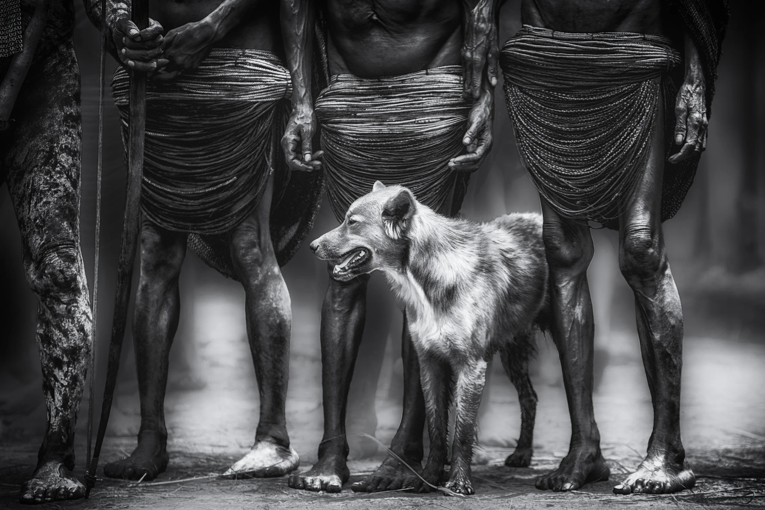 the dog
