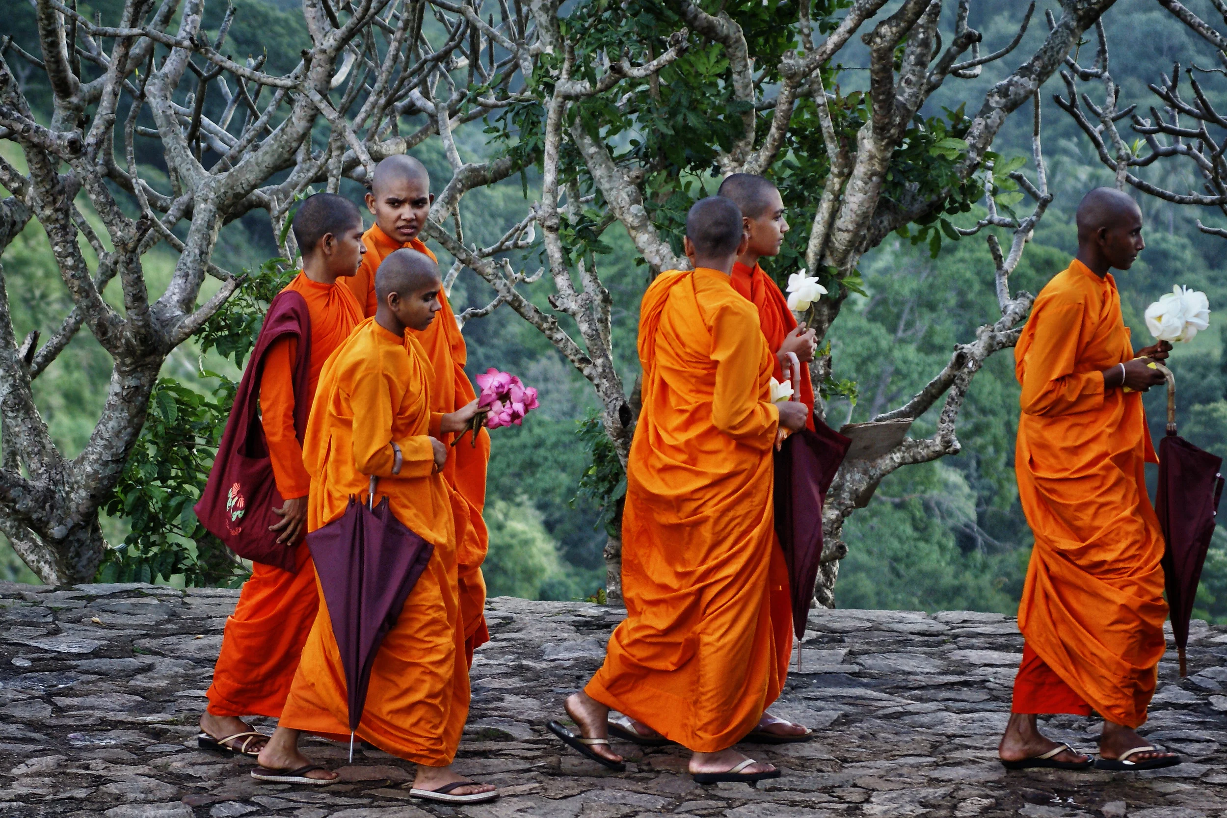 DAMBULLA, SRI LANKA