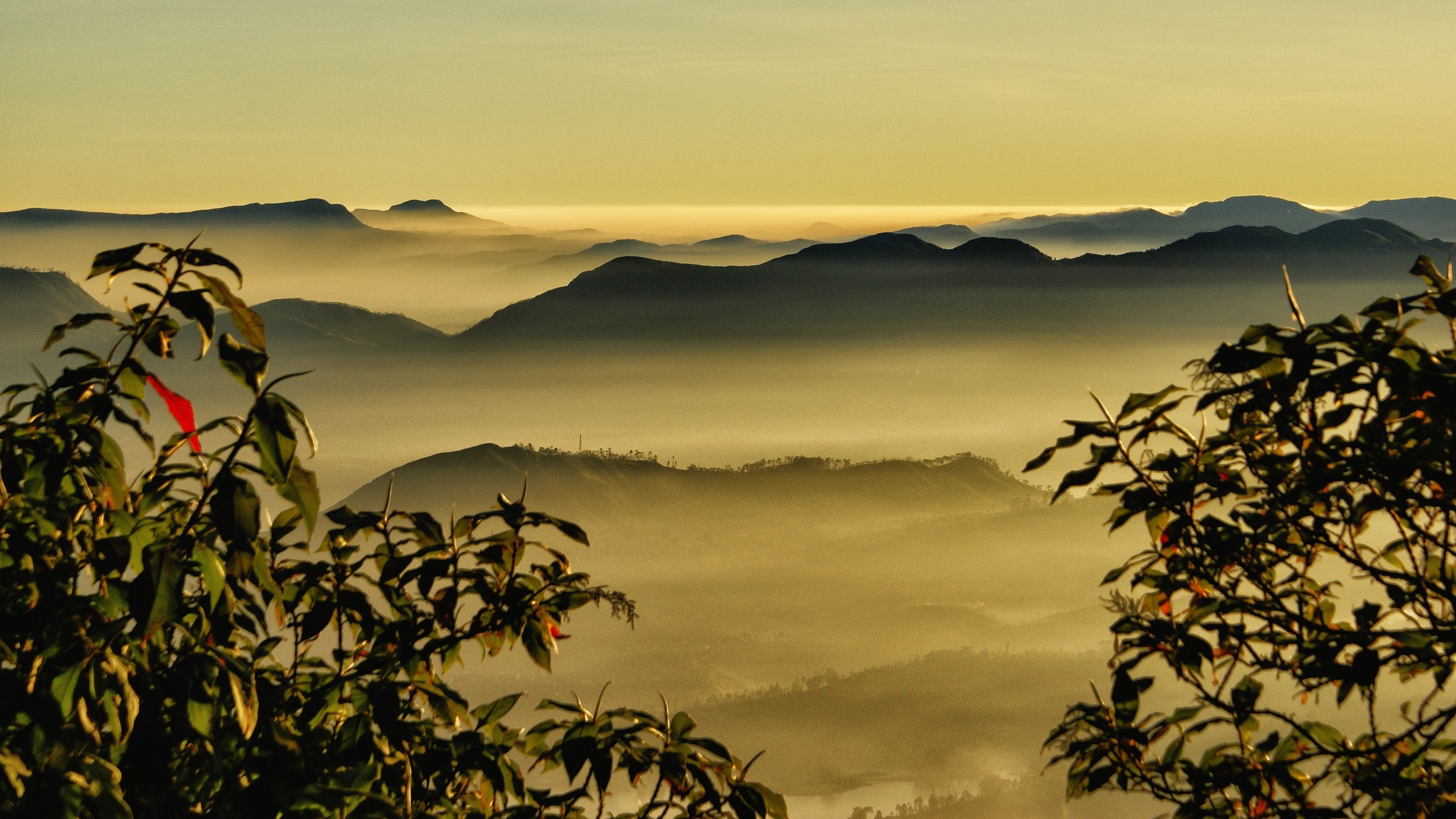  ADAMS PEAK, SRI LANKA 