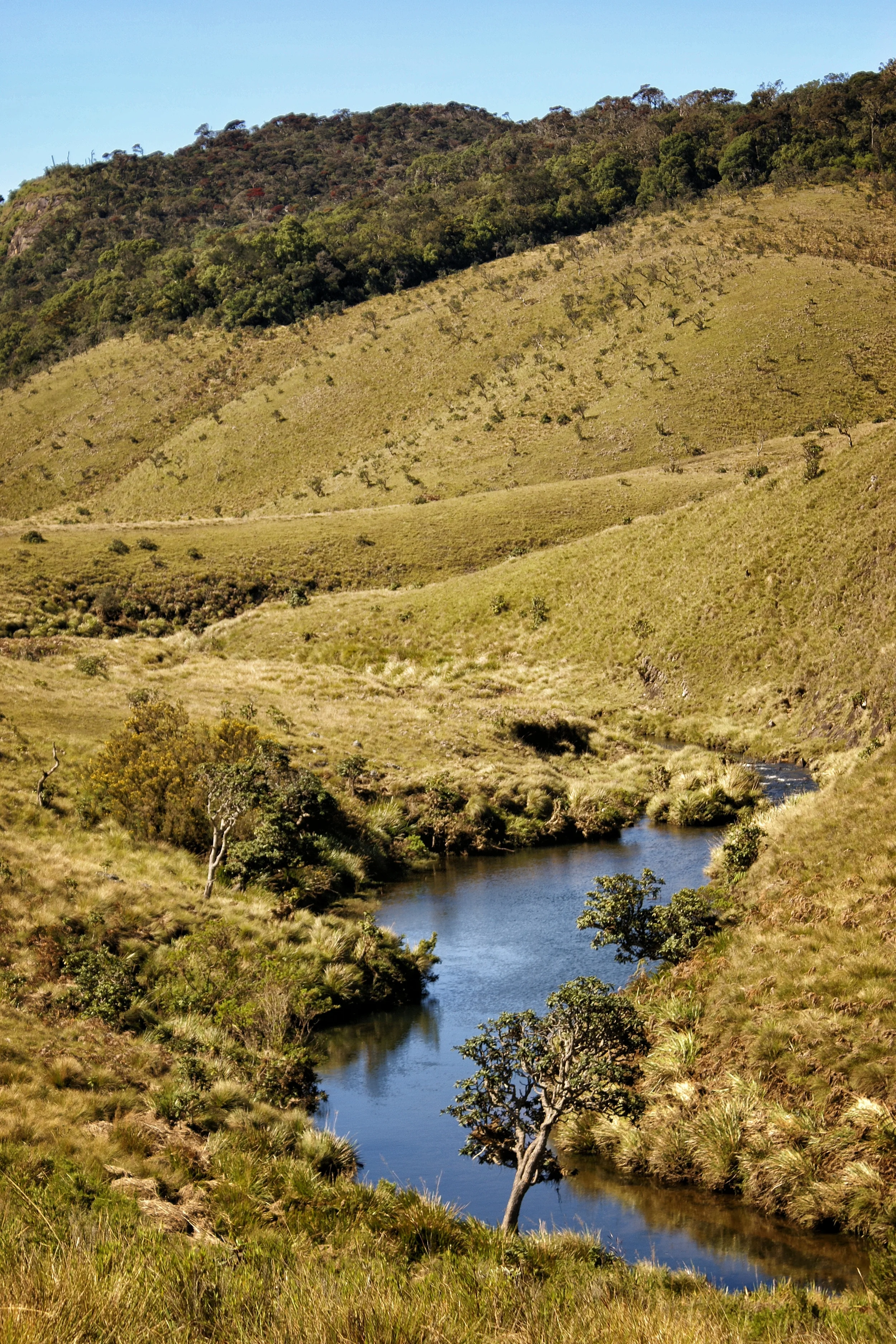 HORTON PLAINS, SRI LANKA