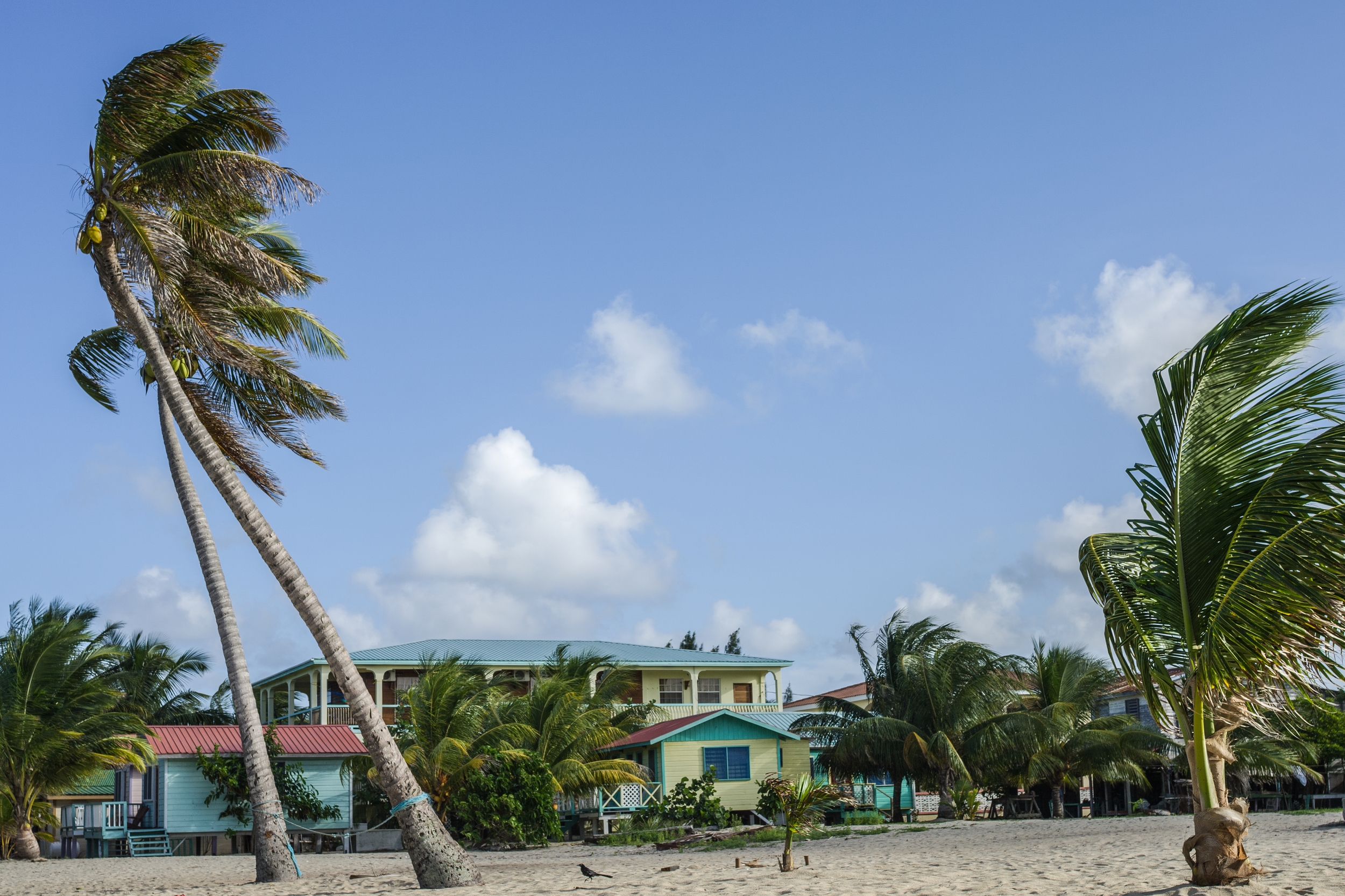  PLACENCIA, BELIZE 