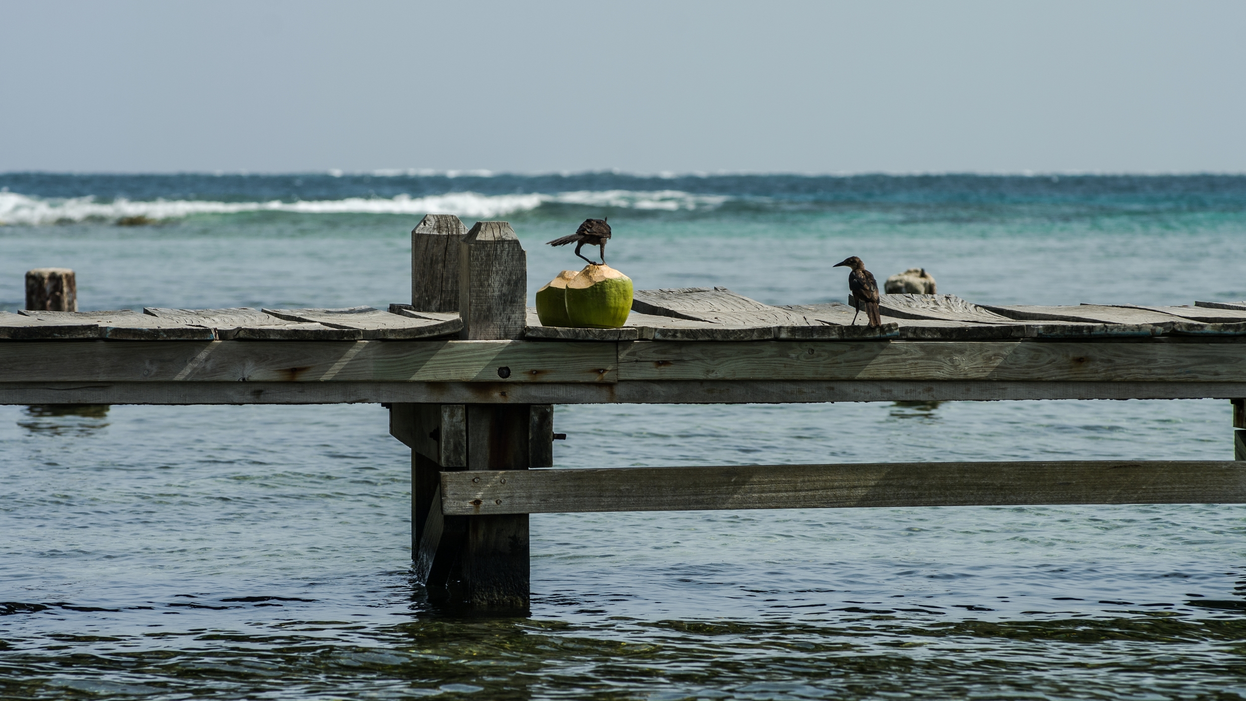  TOBACCO CAYE, BELIZE 