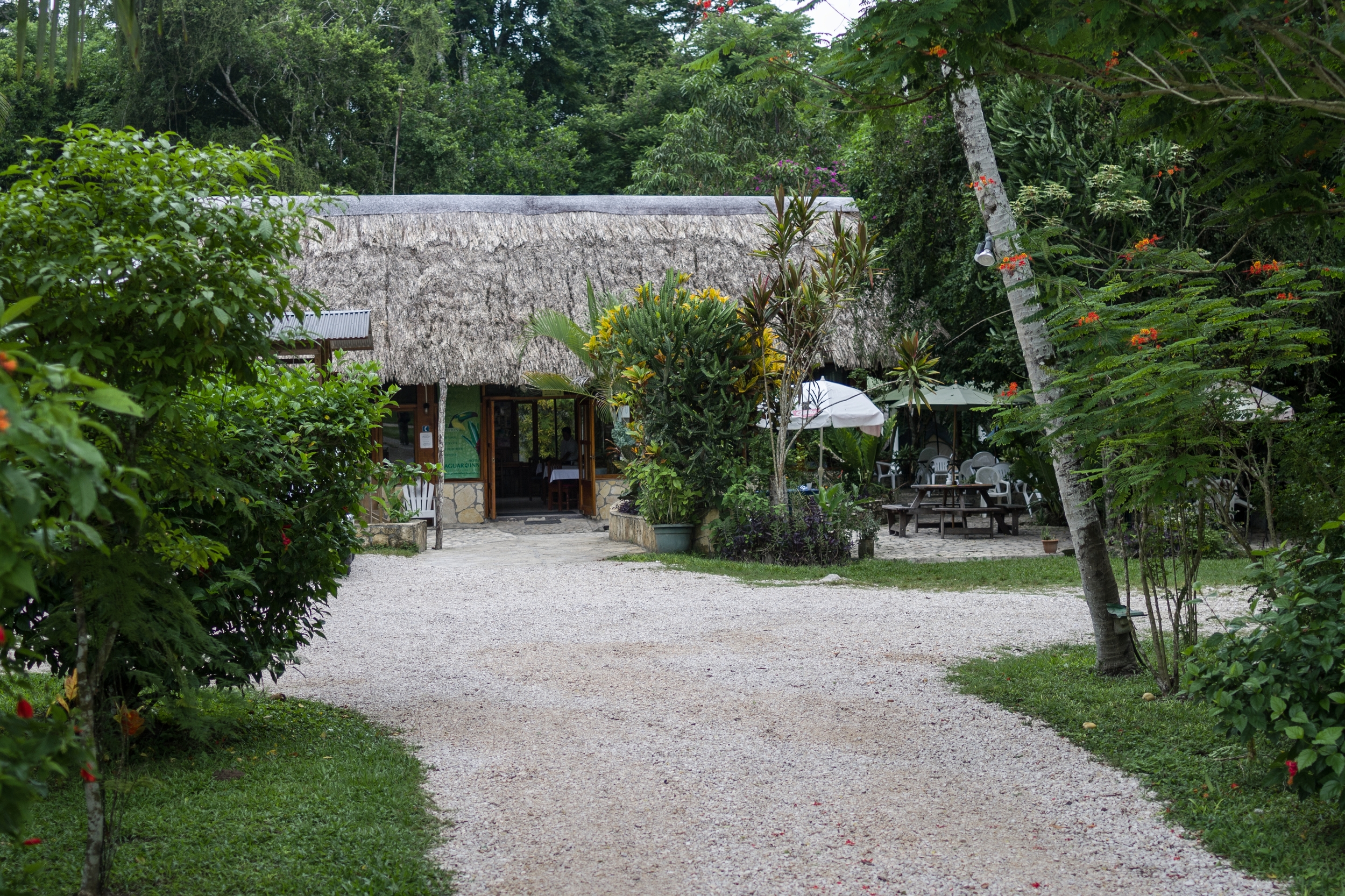  TIKAL, GUATEMALA 