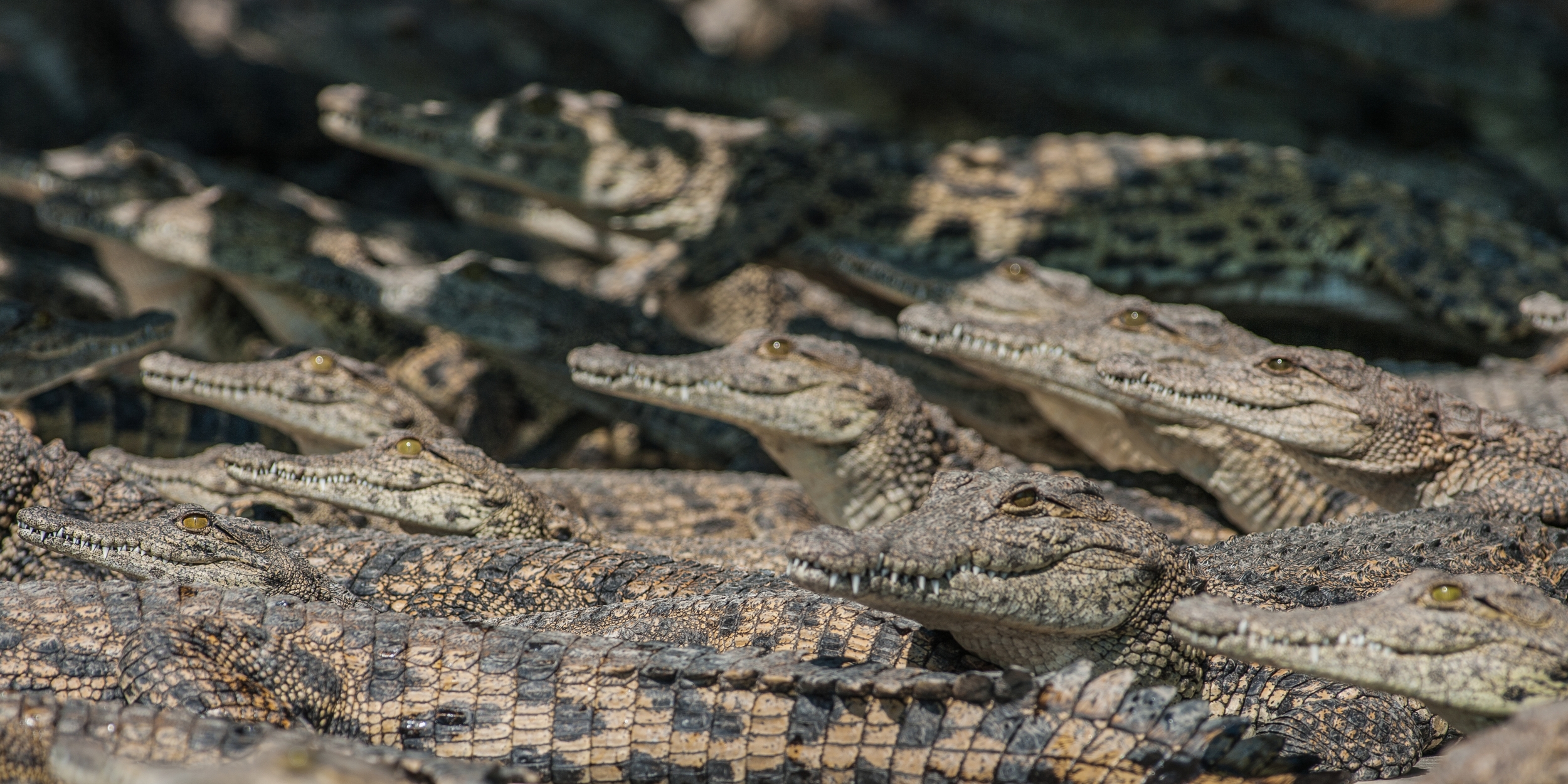  MAUN, BOTSWANA 