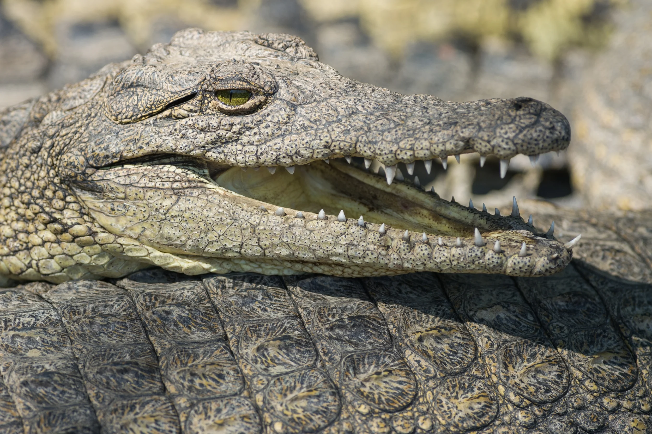 MAUN, BOTSWANA