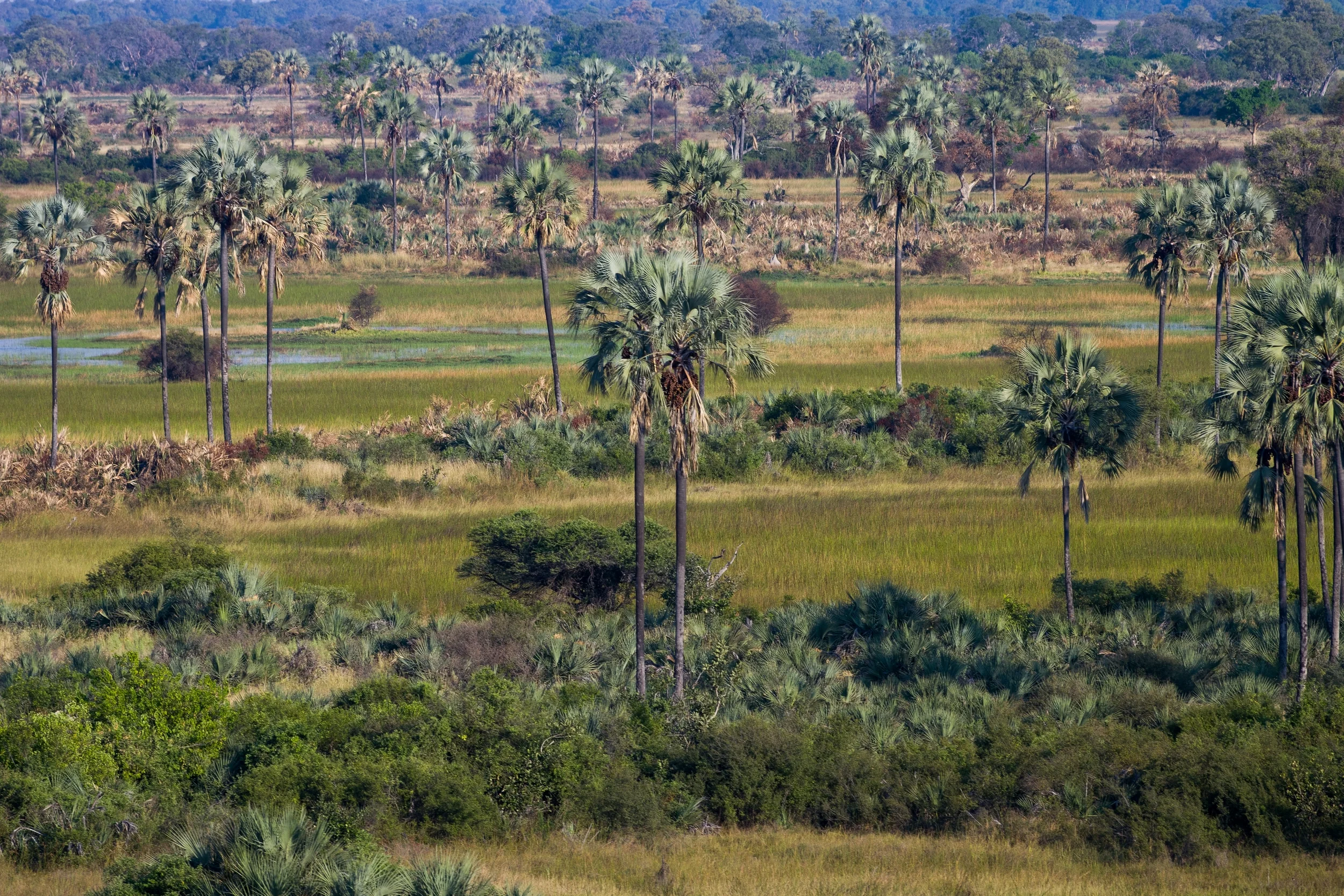 OKAVANGO DELTA, BOTSWANA