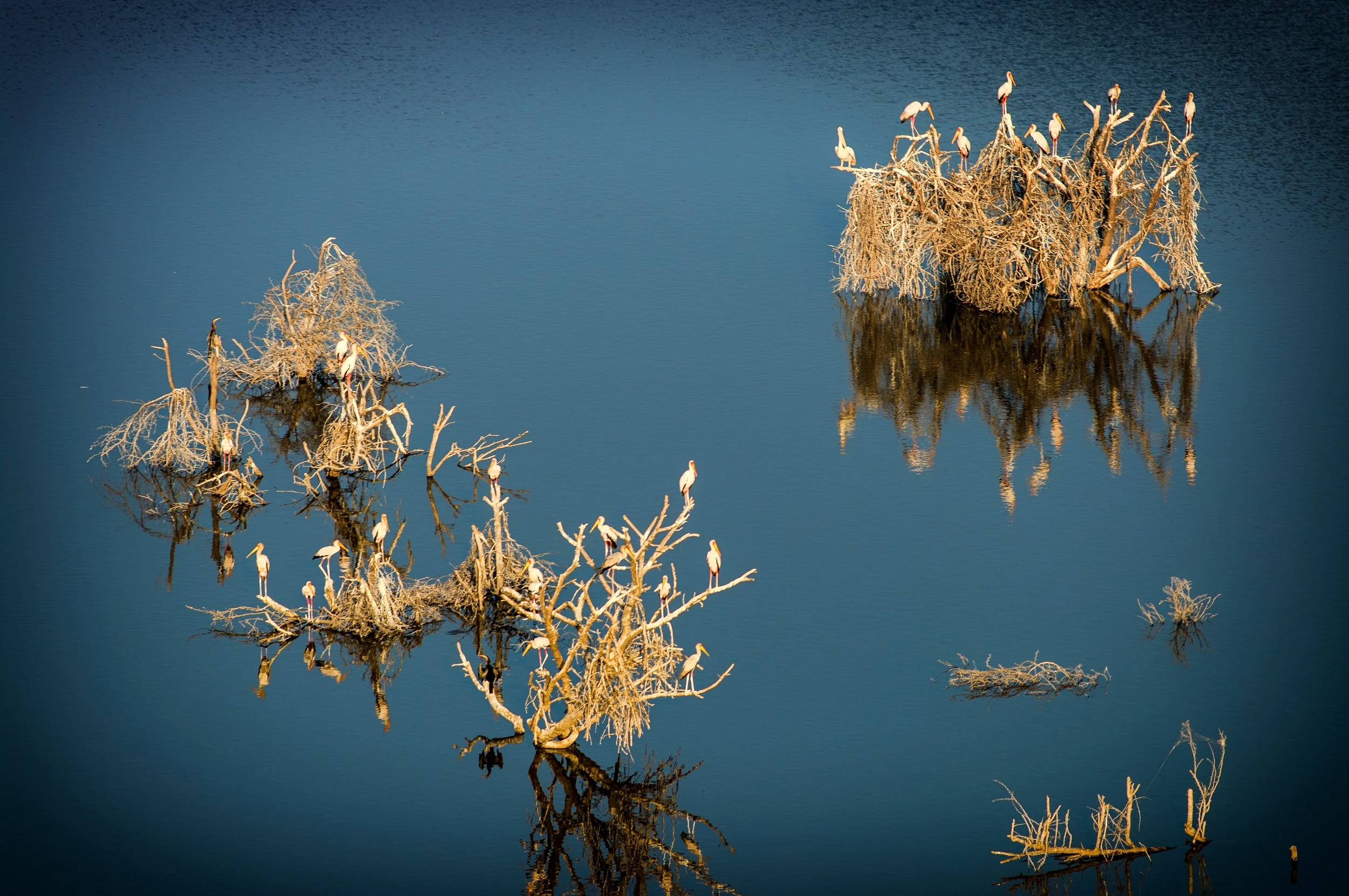 OKAVANGO DELTA, BOTSWANA