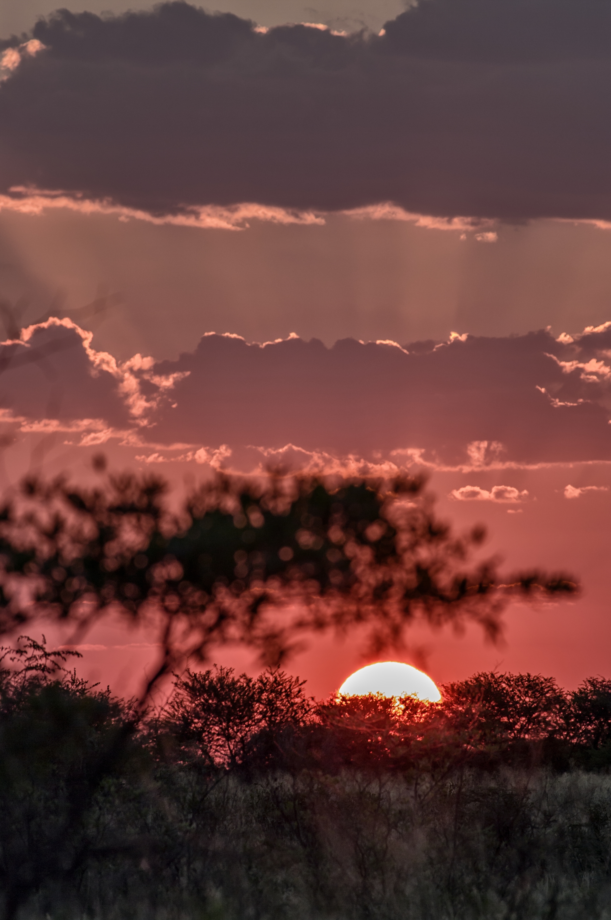  NXAI PAN, BOTSWANA 