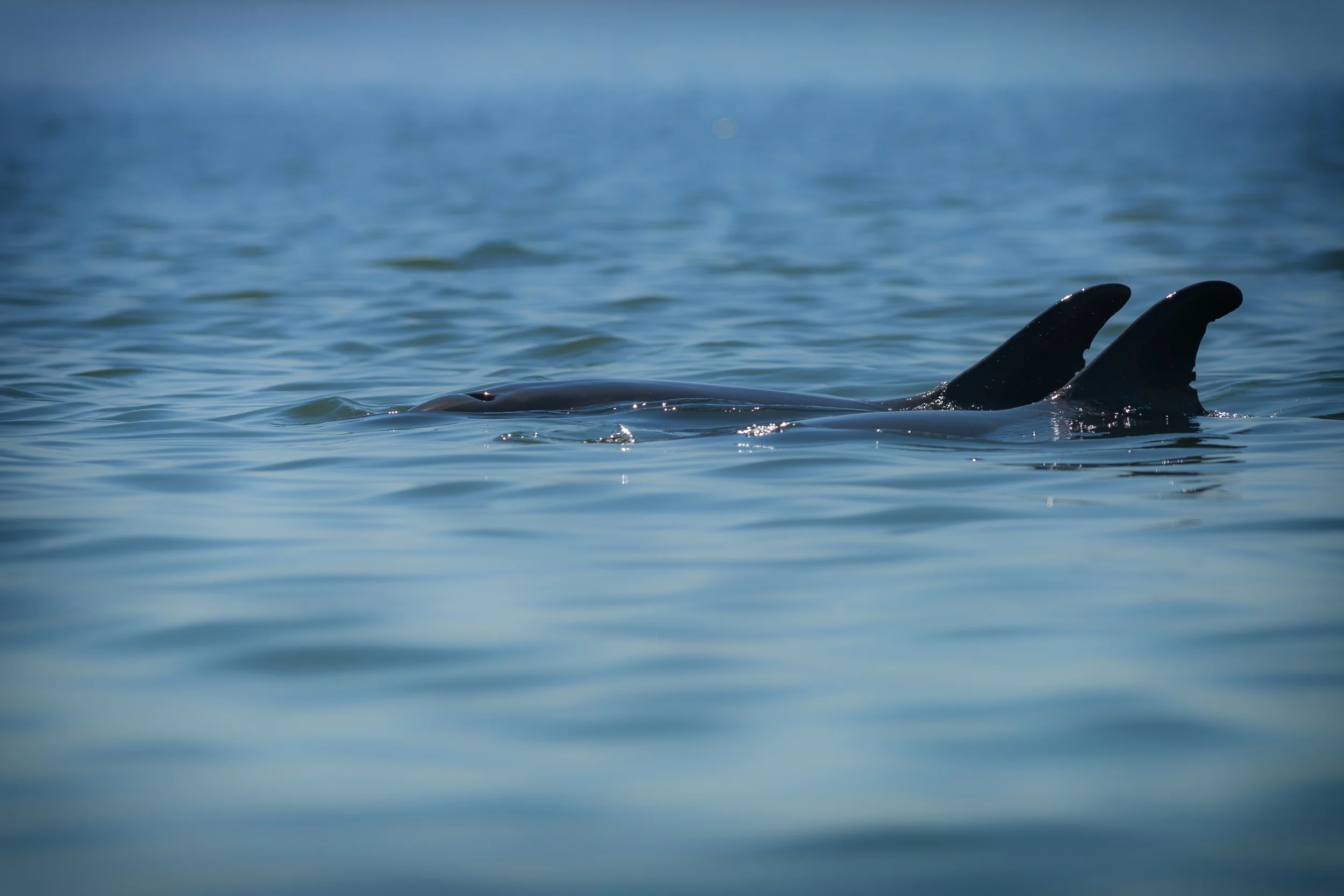 WALVIS BAY, NAMIBIA