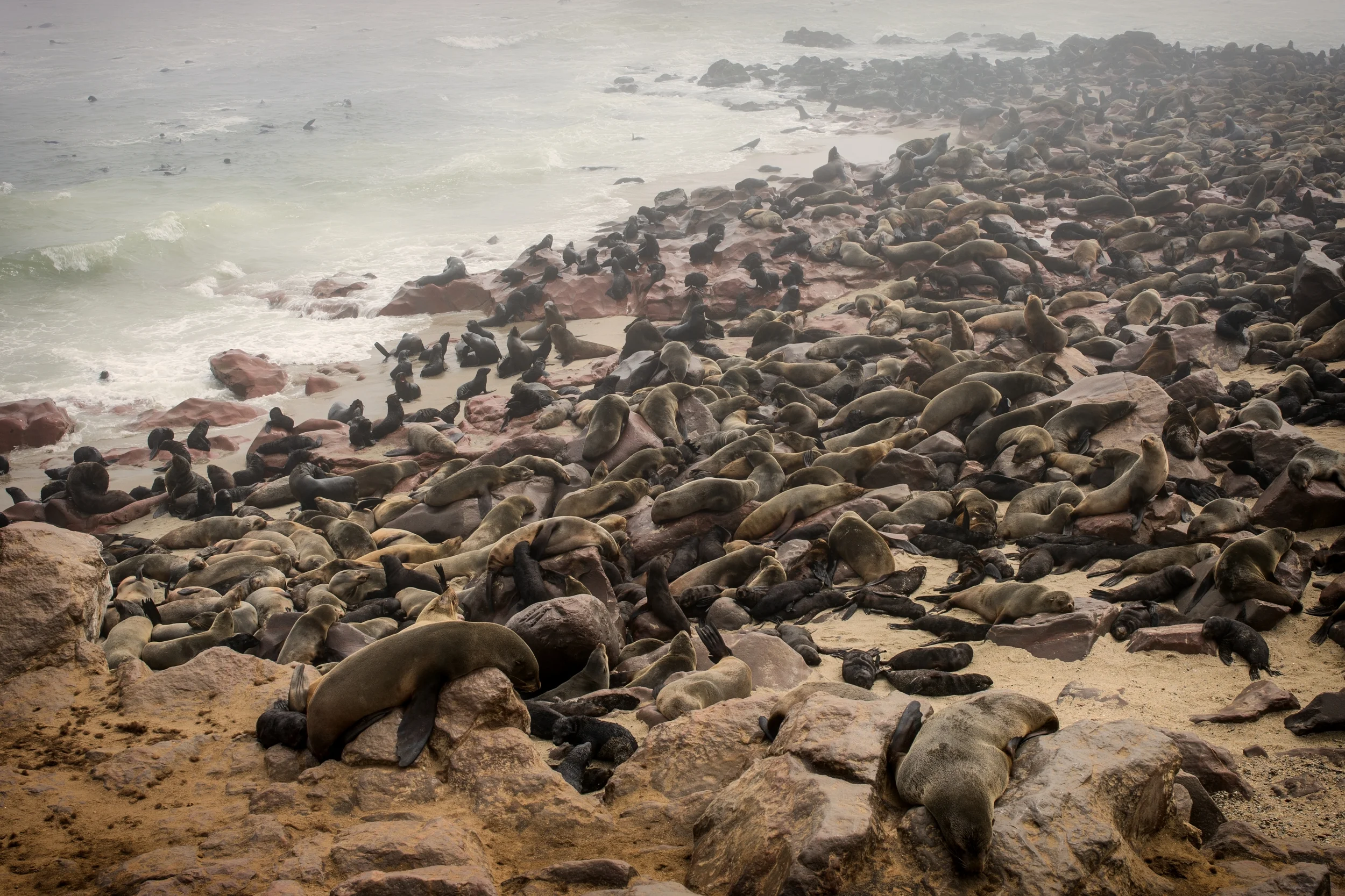 CAPE CROSS, NAMIBIA