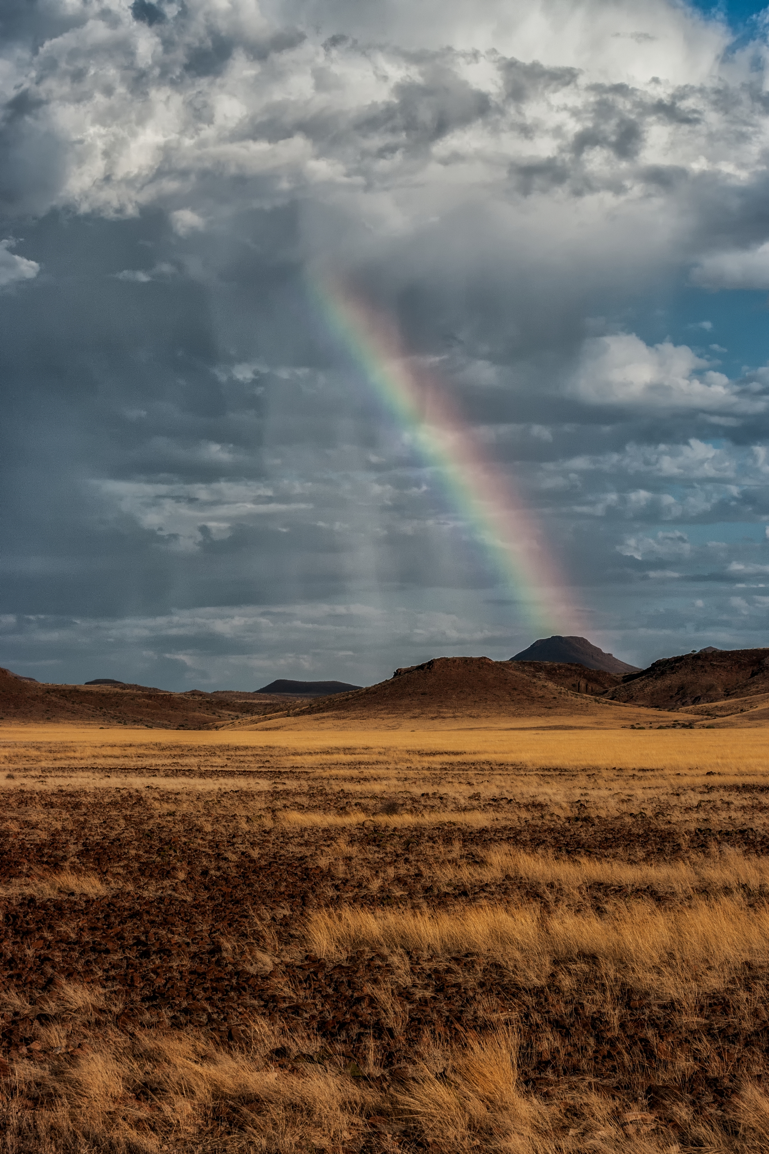  DAMARALAND, NAMIBIA 