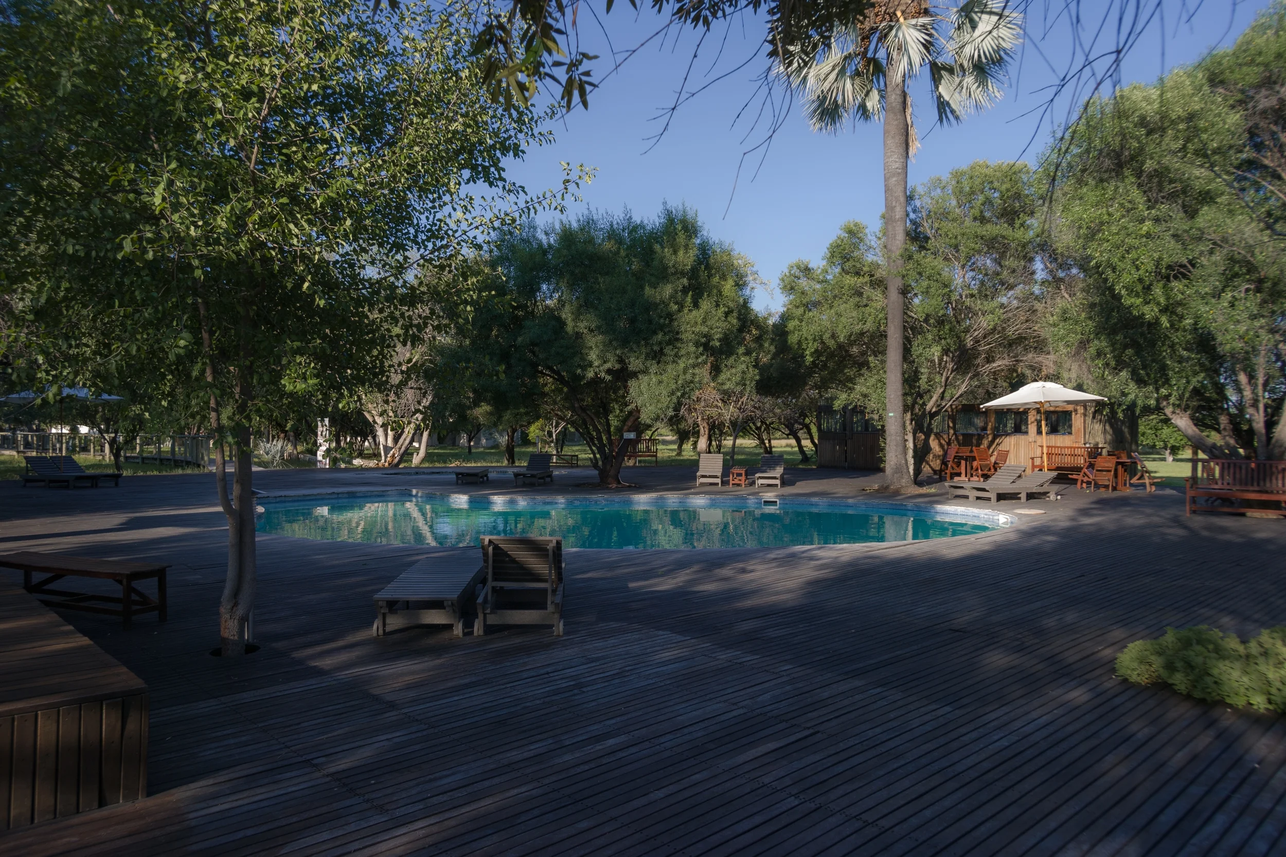 ETOSHA, NAMIBIA