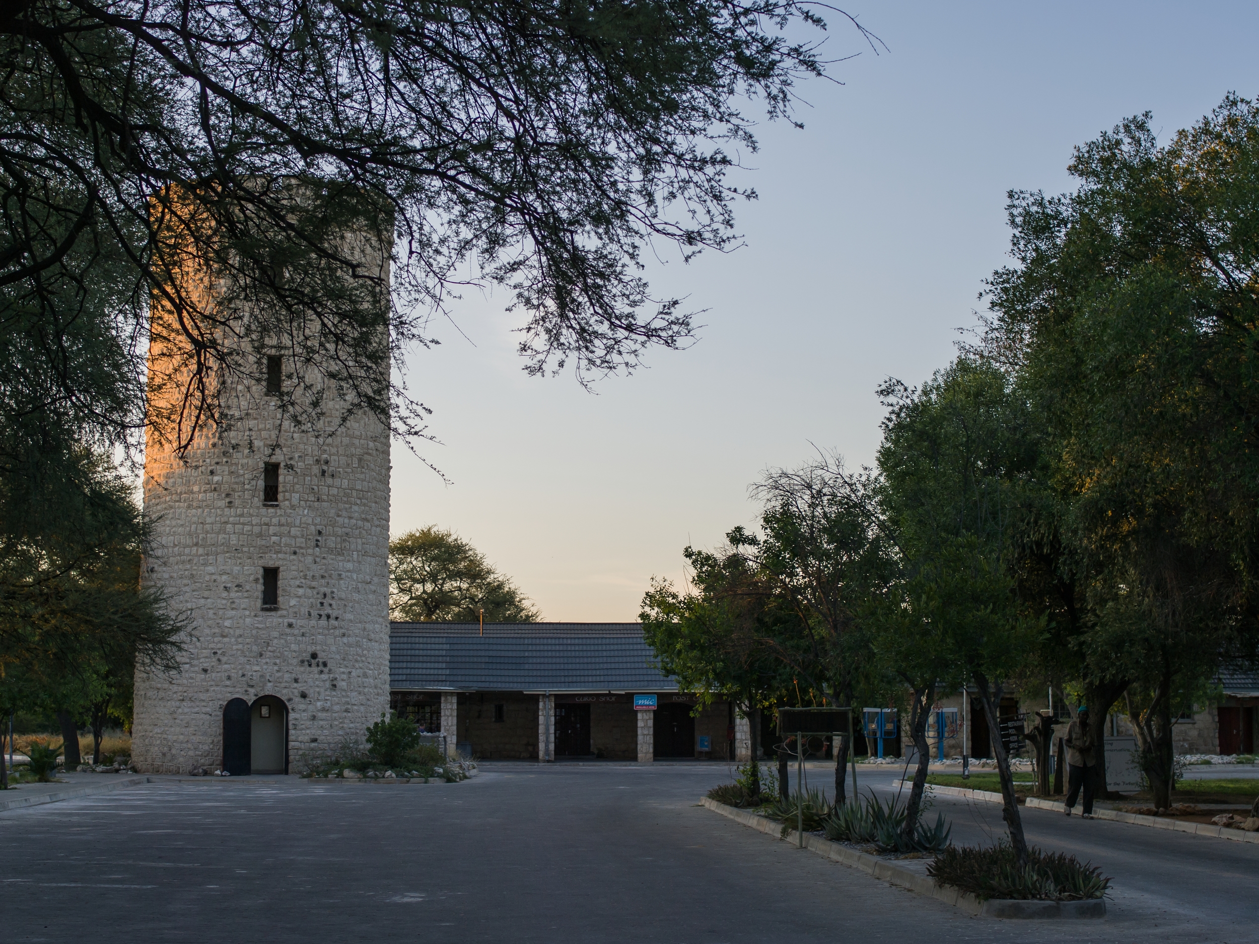  ETOSHA, NAMIBIA 