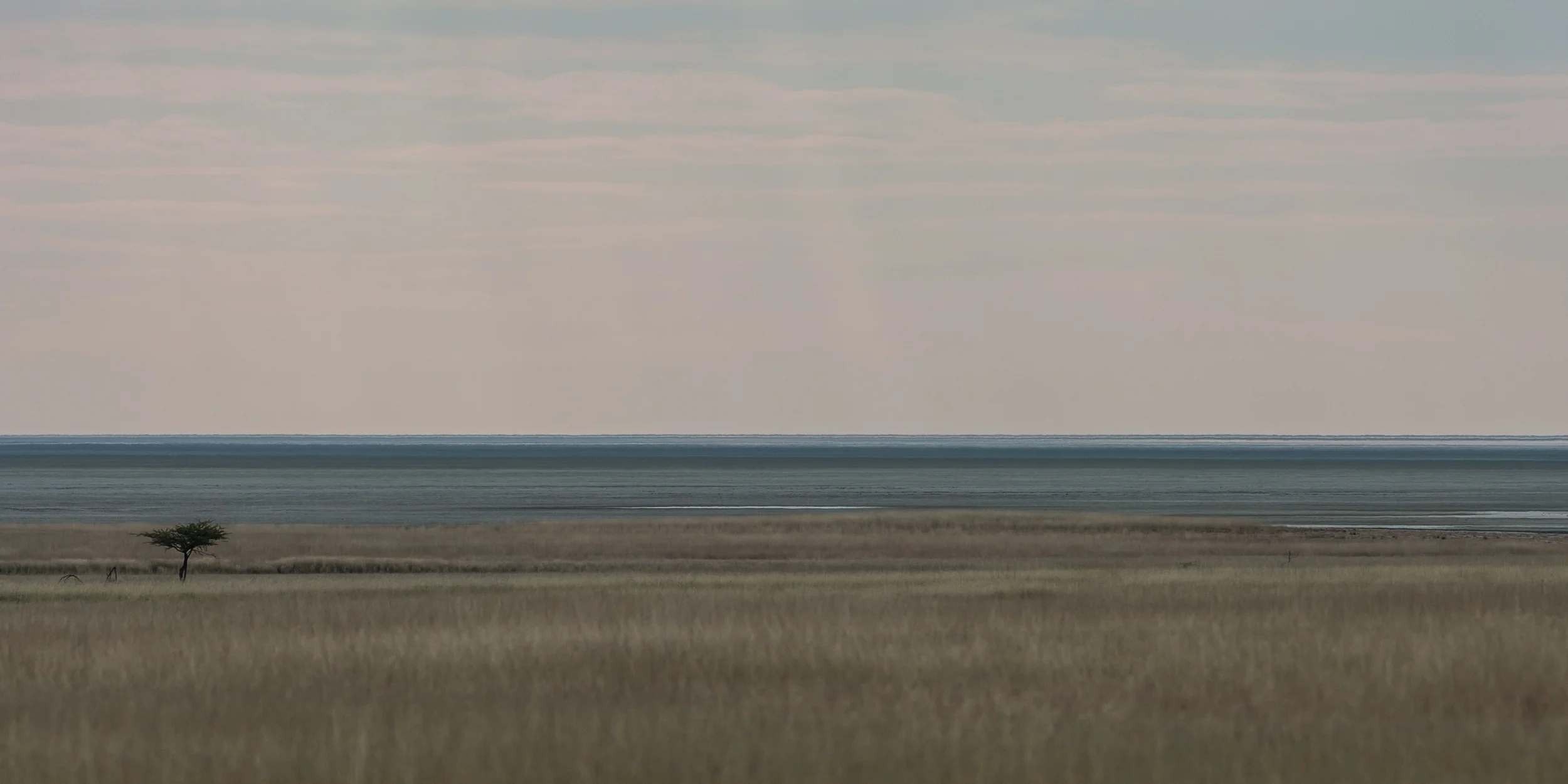 ETOSHA, NAMIBIA