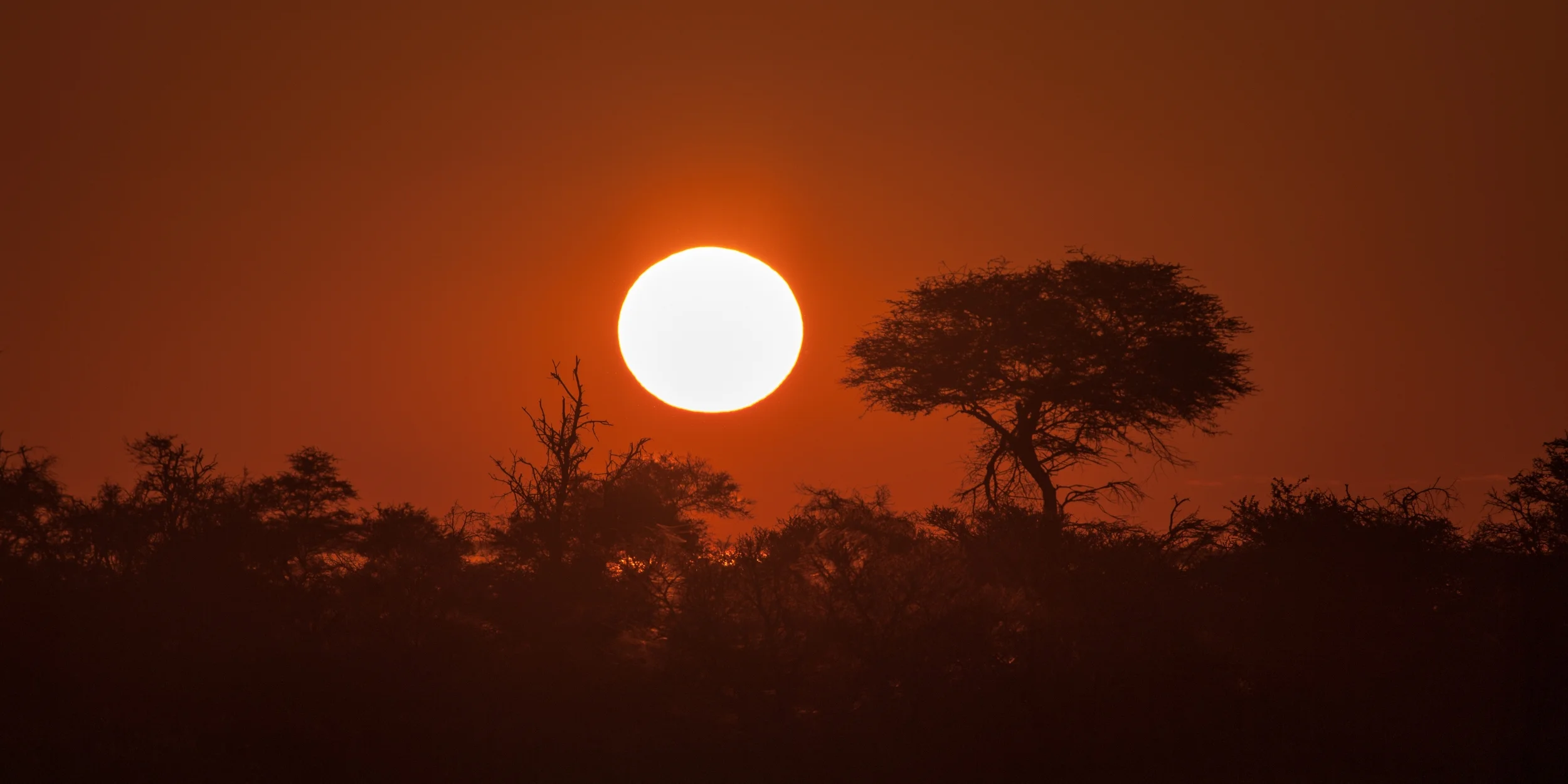 ETOSHA, NAMIBIA