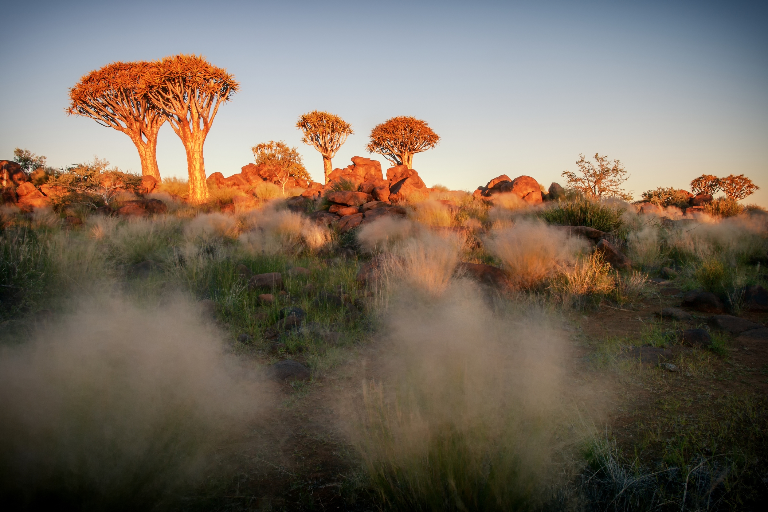  KEETMANSHOOP, NAMIBIA 