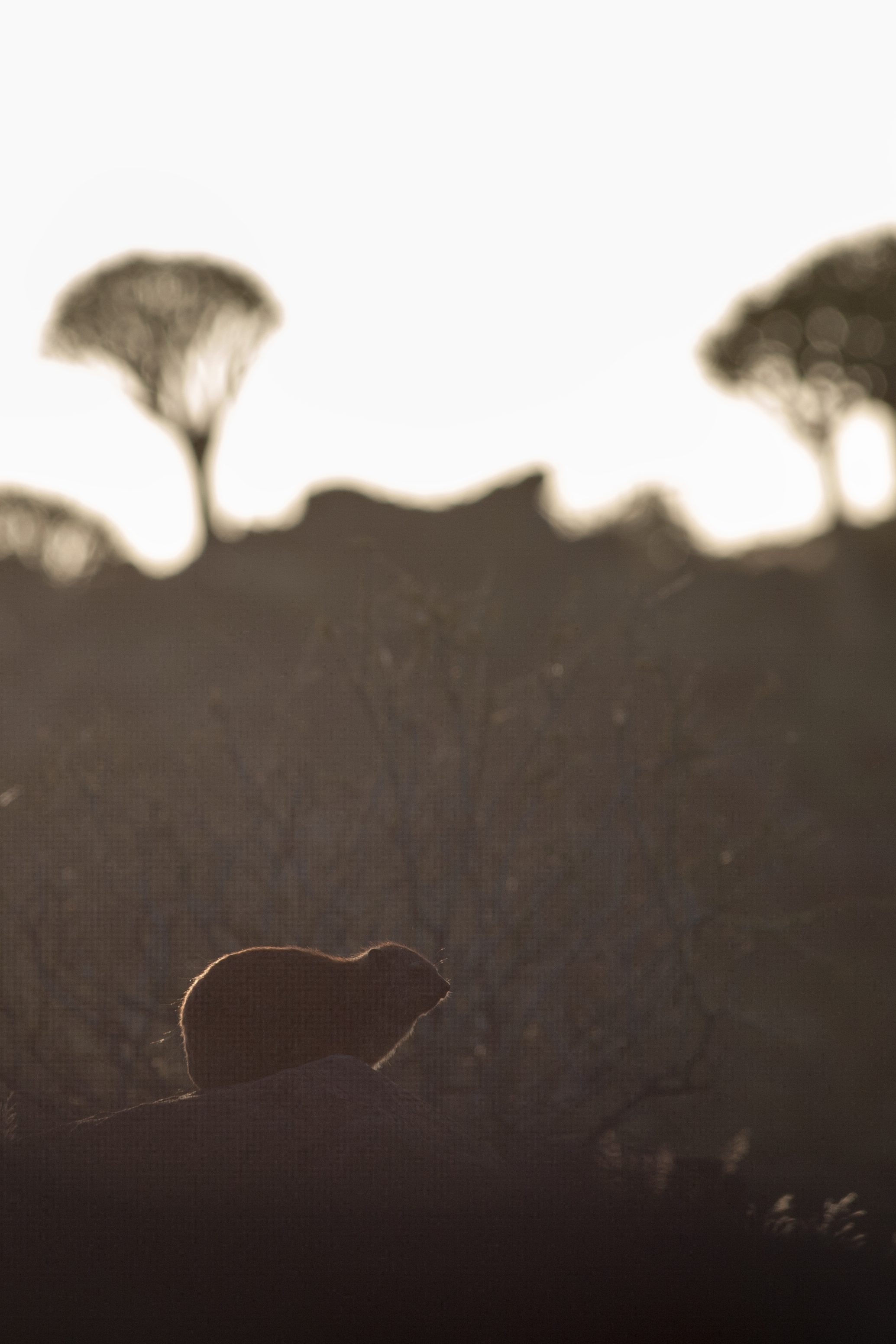  KEETMANSHOOP, NAMIBIA 