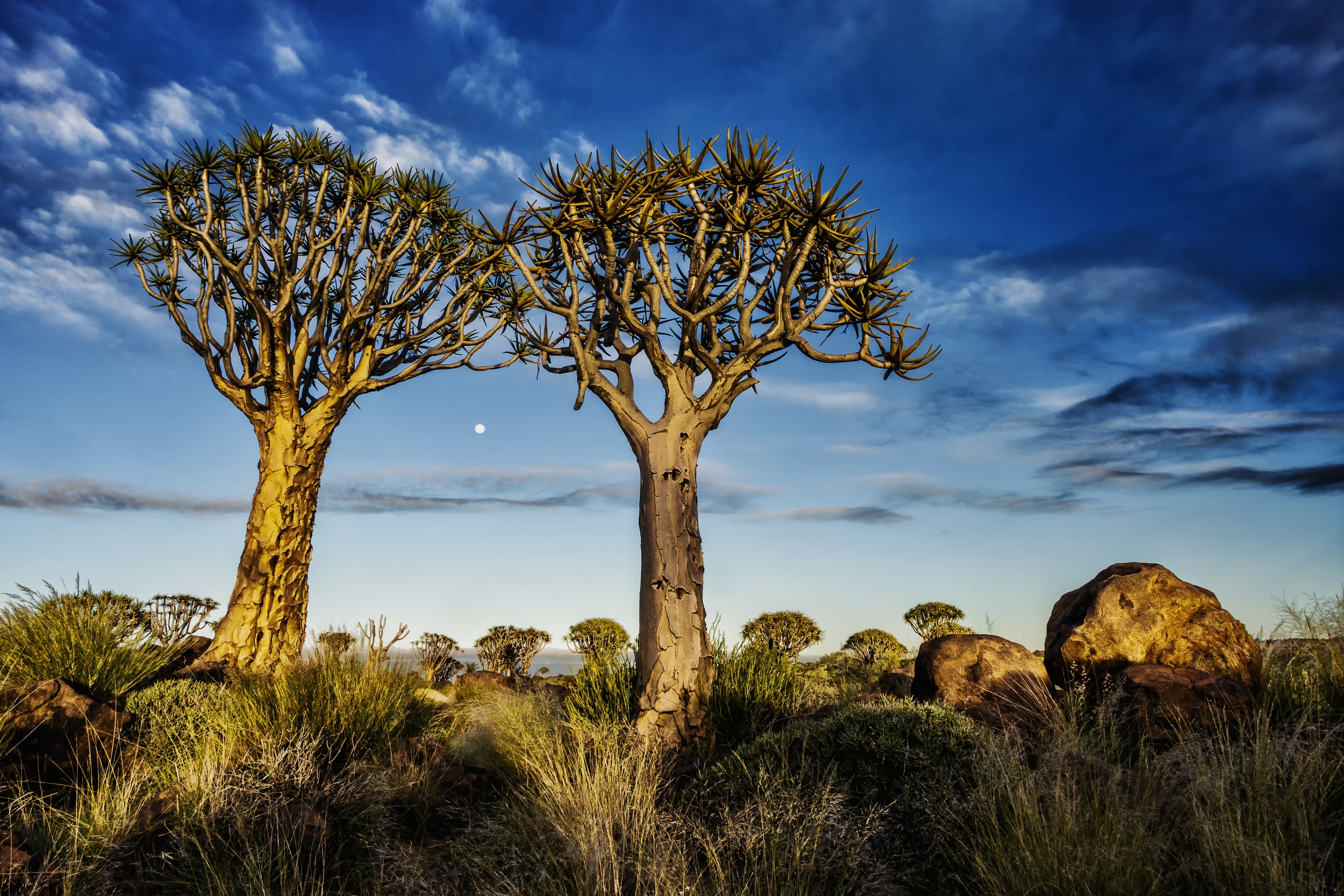  KEETMANSHOOP, NAMIBIA 